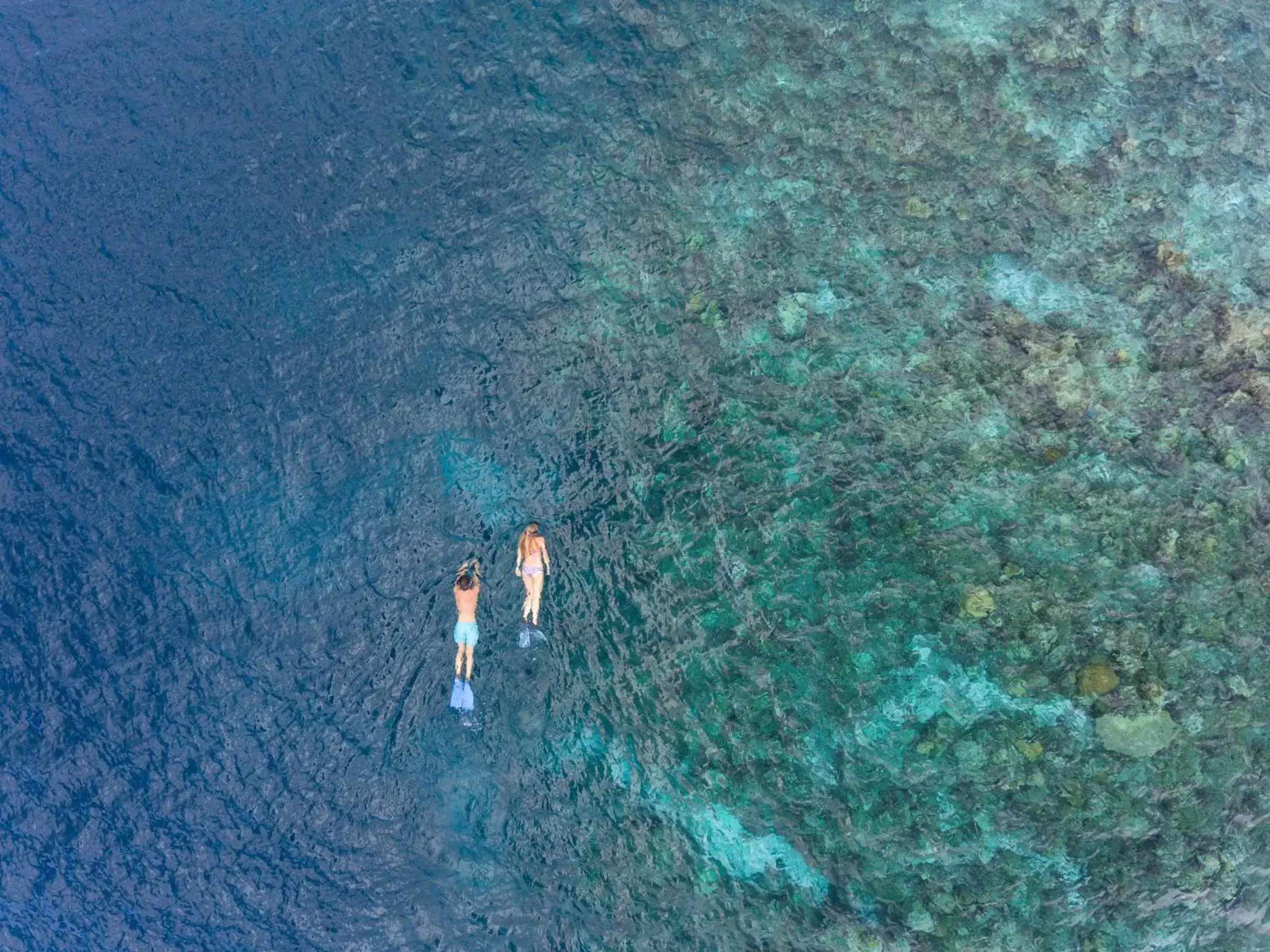 Snorkeling in Baros Maldives