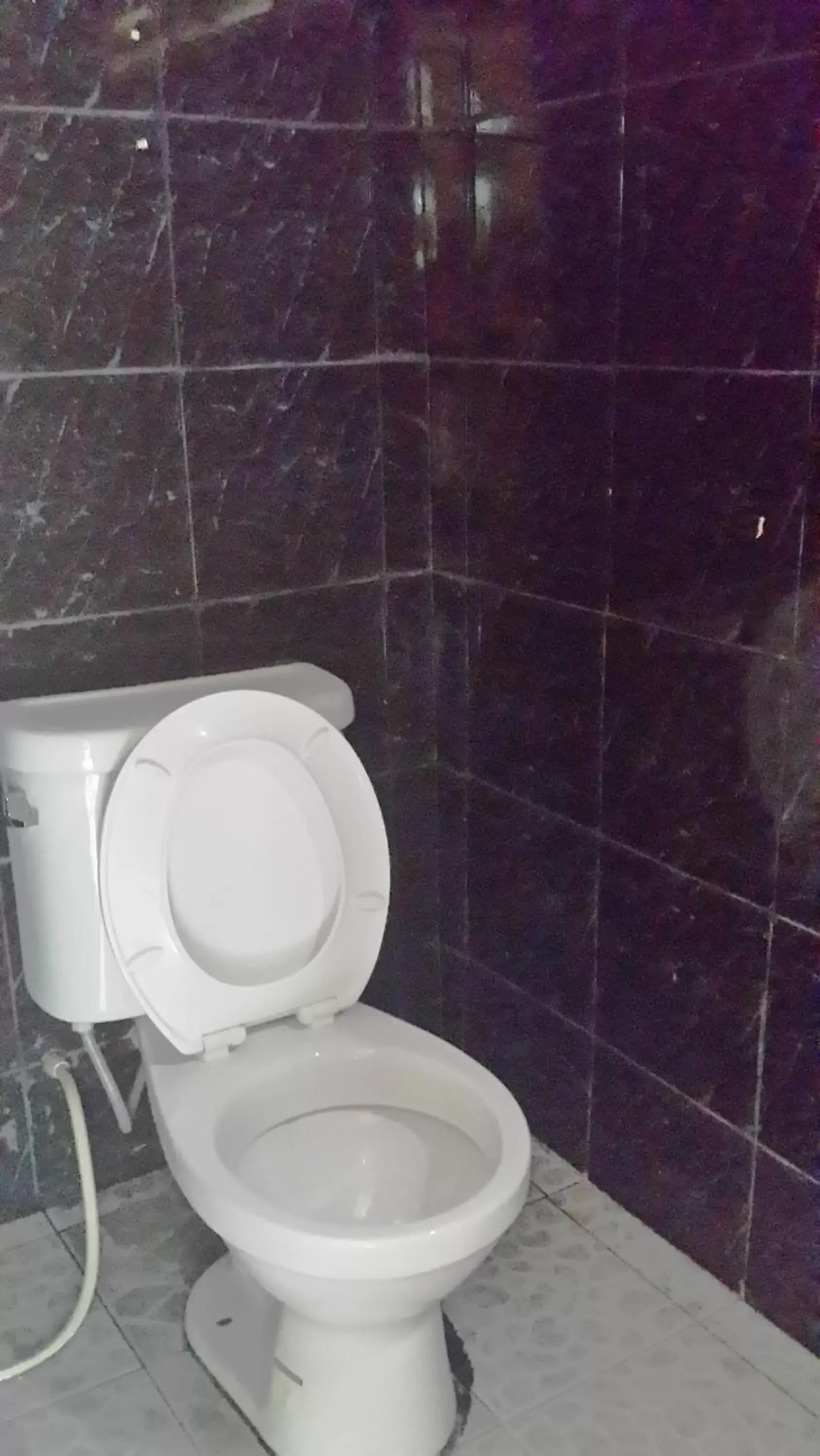 Toilet, Bathroom in Island Lodge
