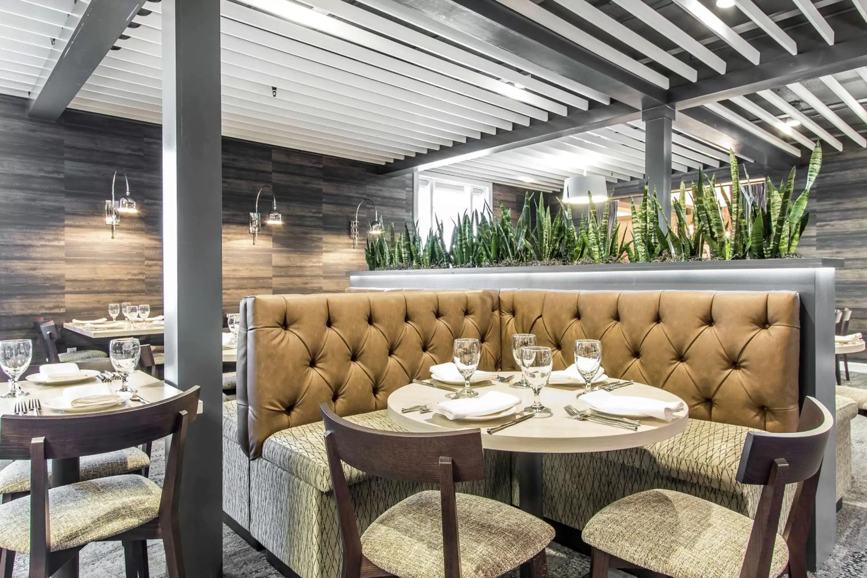 Restaurant/places to eat in The Burgundy Hotel, Tapestry Collection by Hilton Restaurant/places to eat in The Burgundy Hotel, Tapestry Collection by Hilton