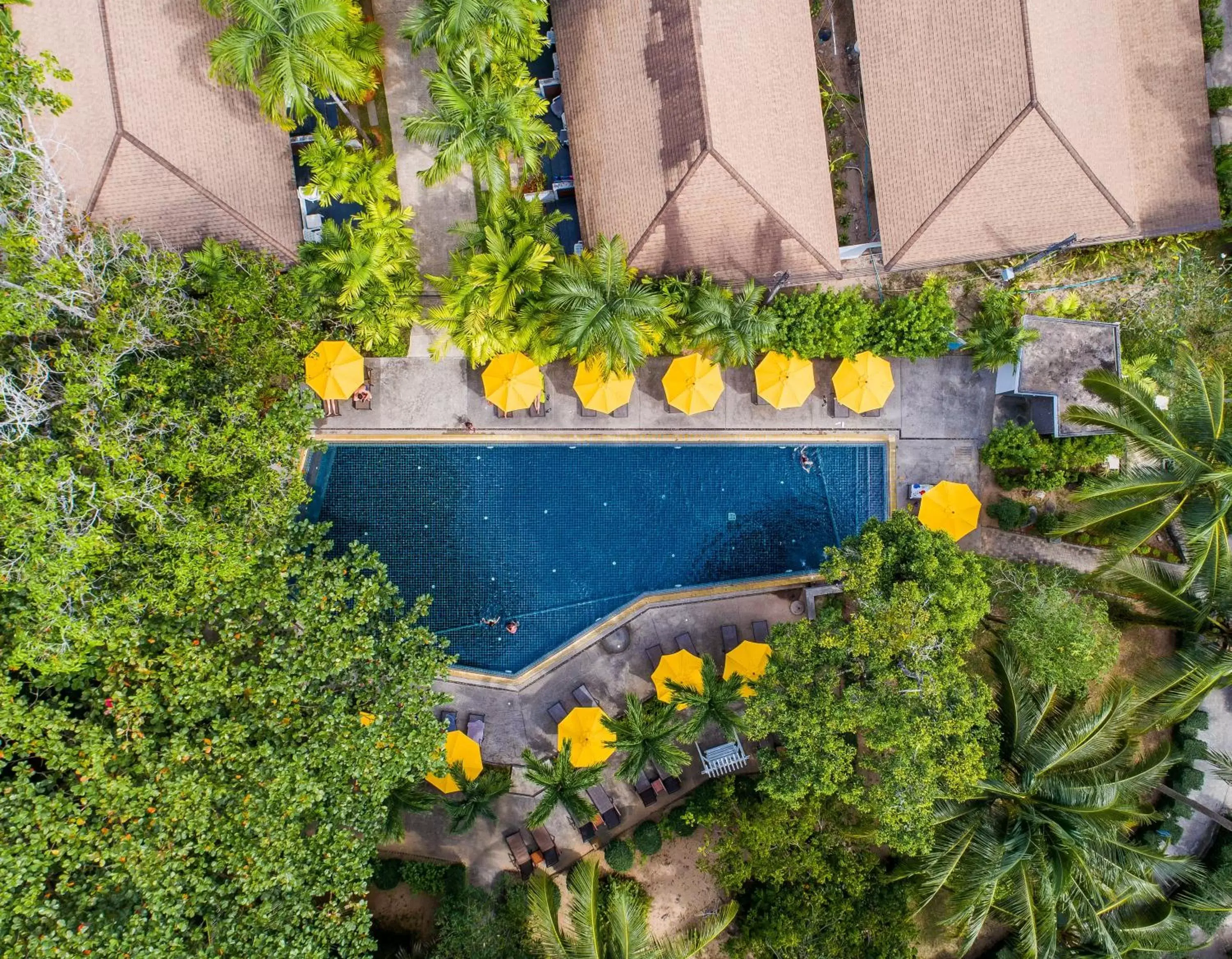 Pool View in Nai Yang Beach Resort and Spa