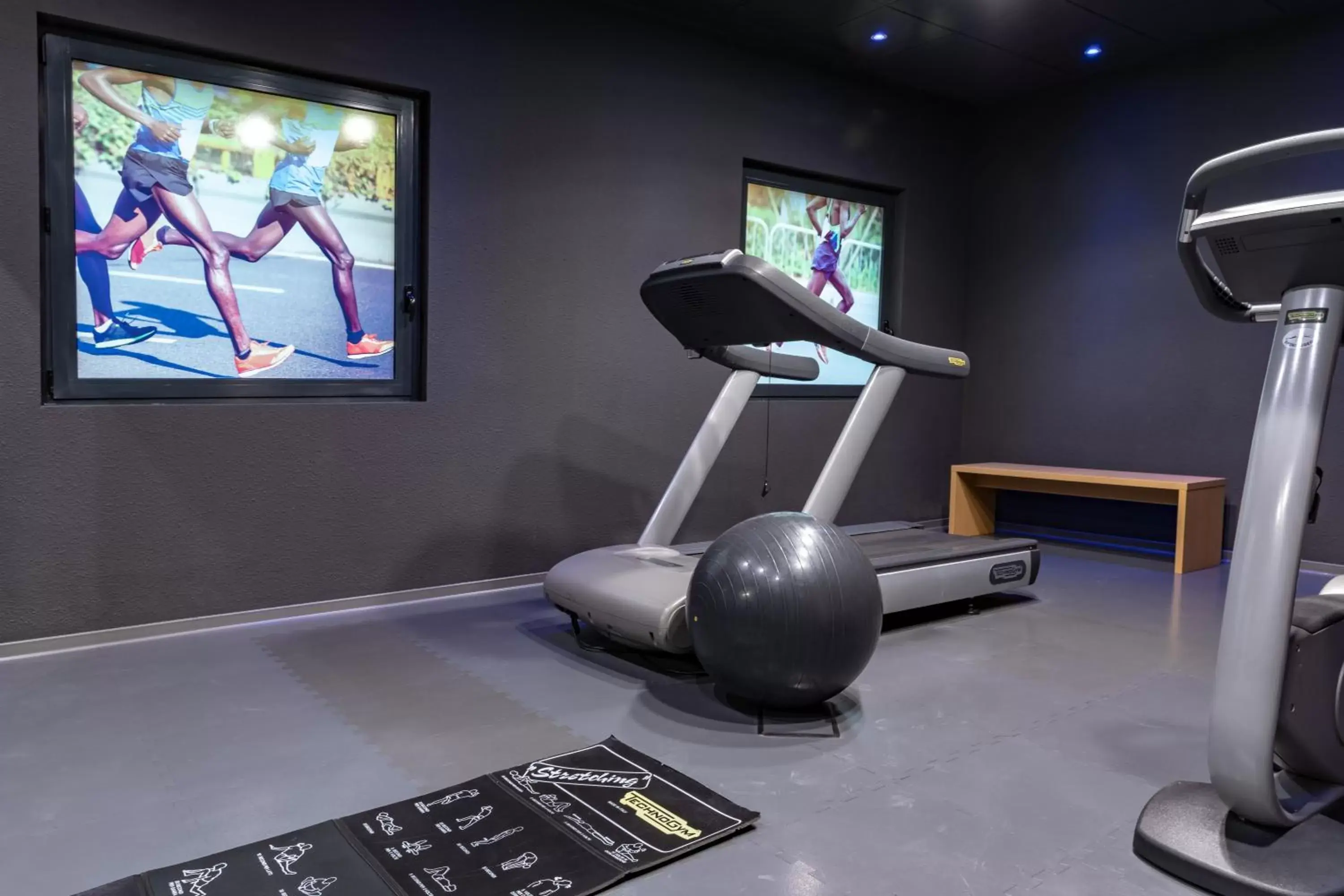 Fitness centre/facilities, Fitness Center/Facilities in Hotel Ibis Milano Malpensa