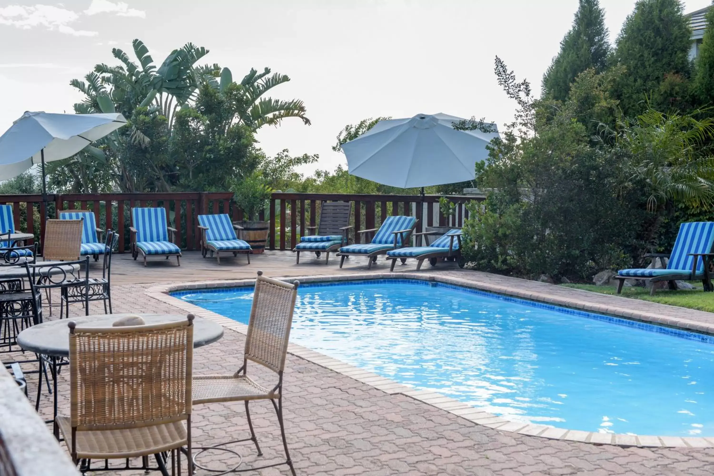 Swimming Pool in Whalesong Hotel & Spa