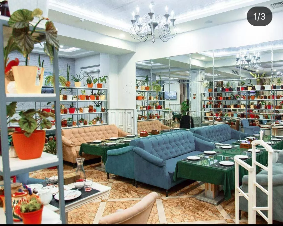 Breakfast in Shedevr Plaza