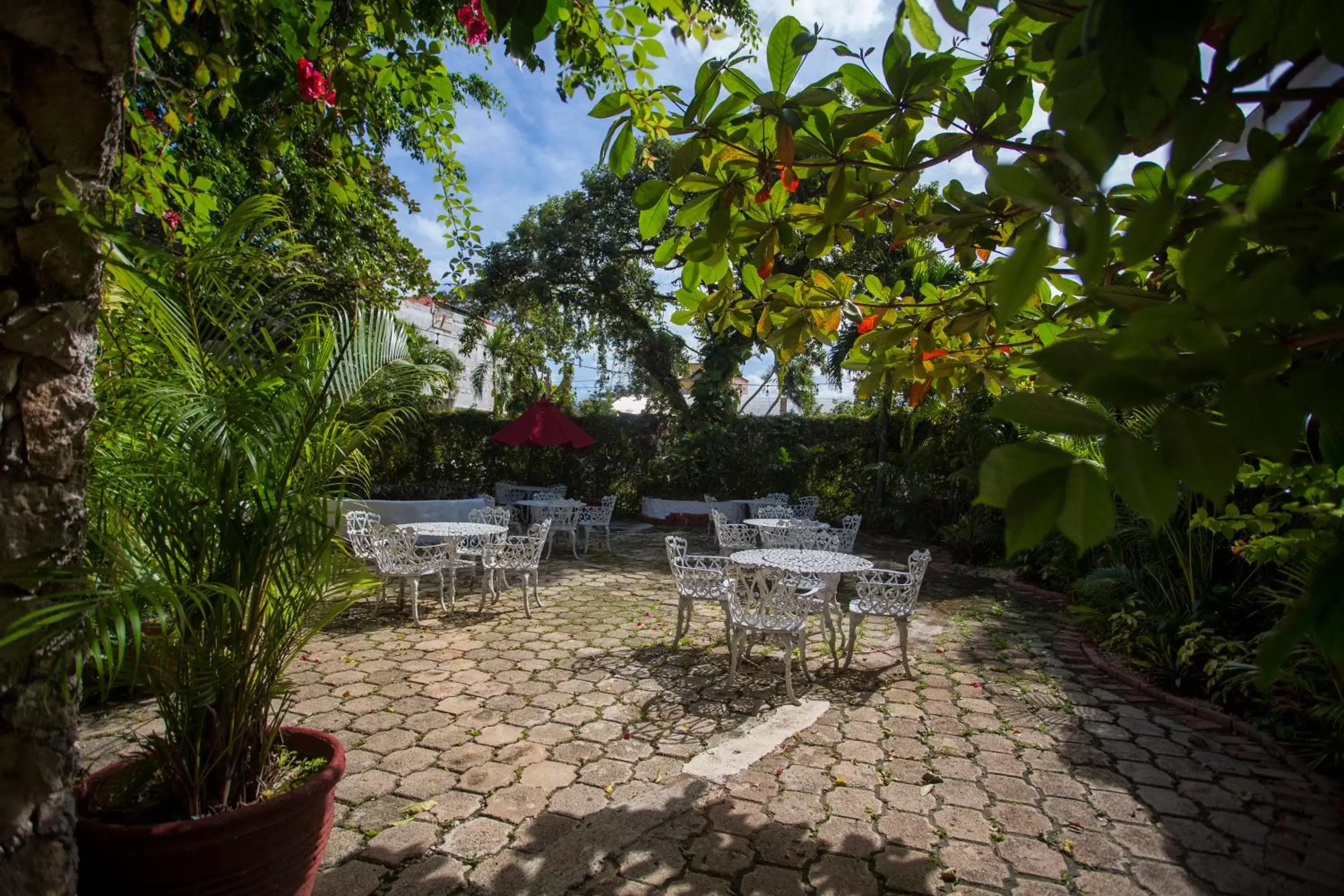 Garden in Hotel Xbalamqué & Spa Cancún Centro