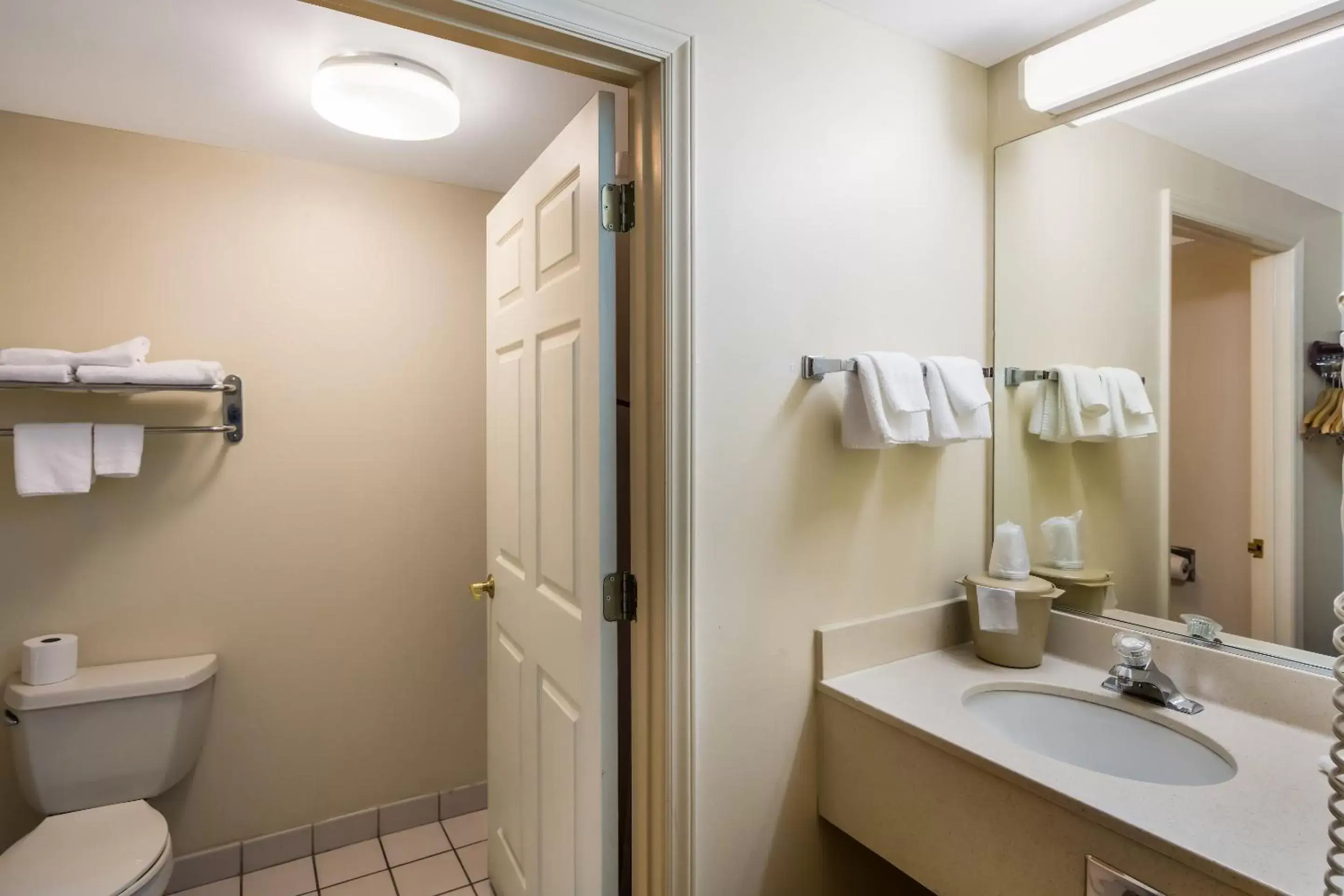 Bathroom in Red Roof Inn Hendersonville