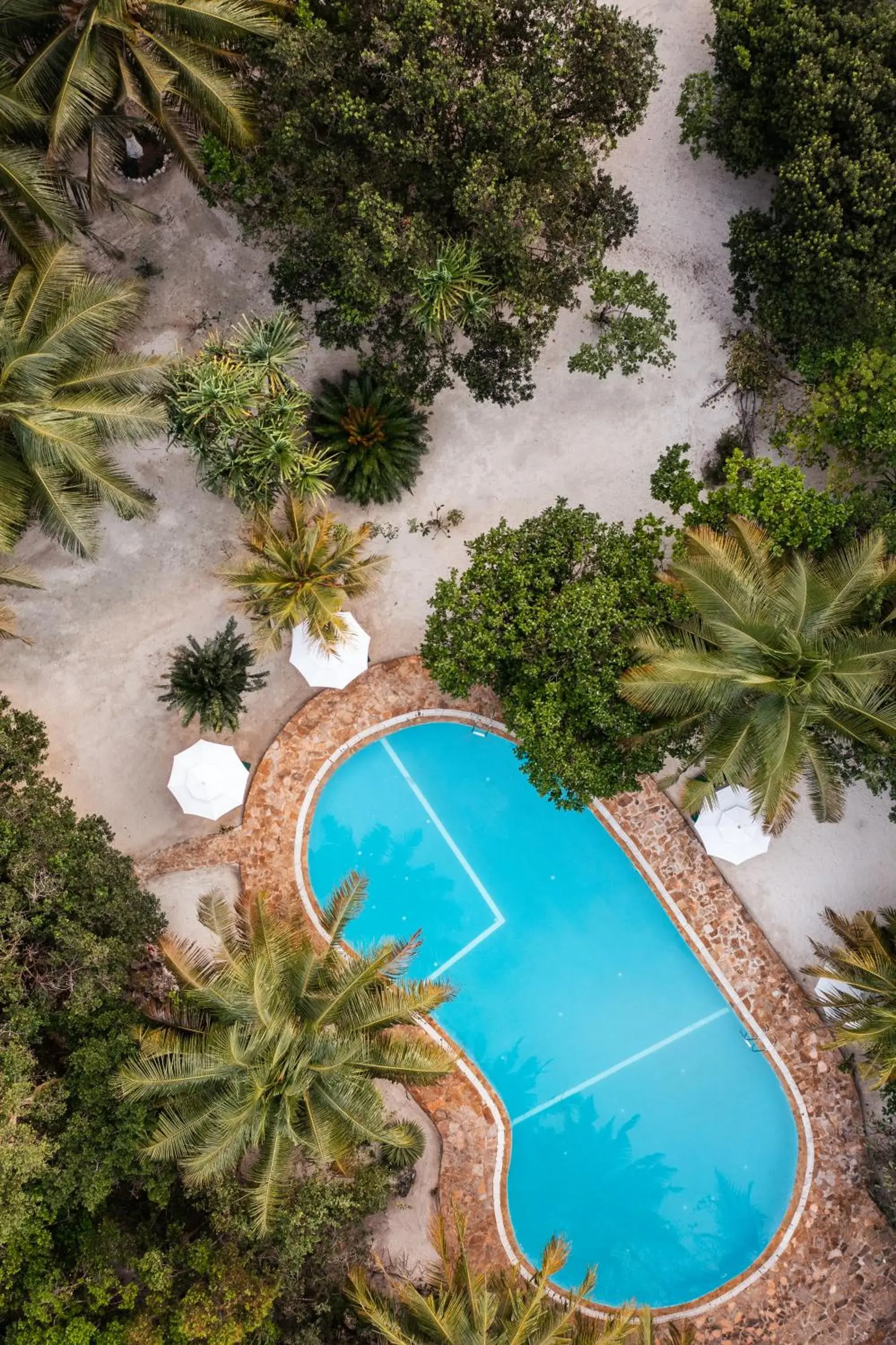 Swimming pool, Pool View in Hakuna Majiwe Beach Lodge Zanzibar