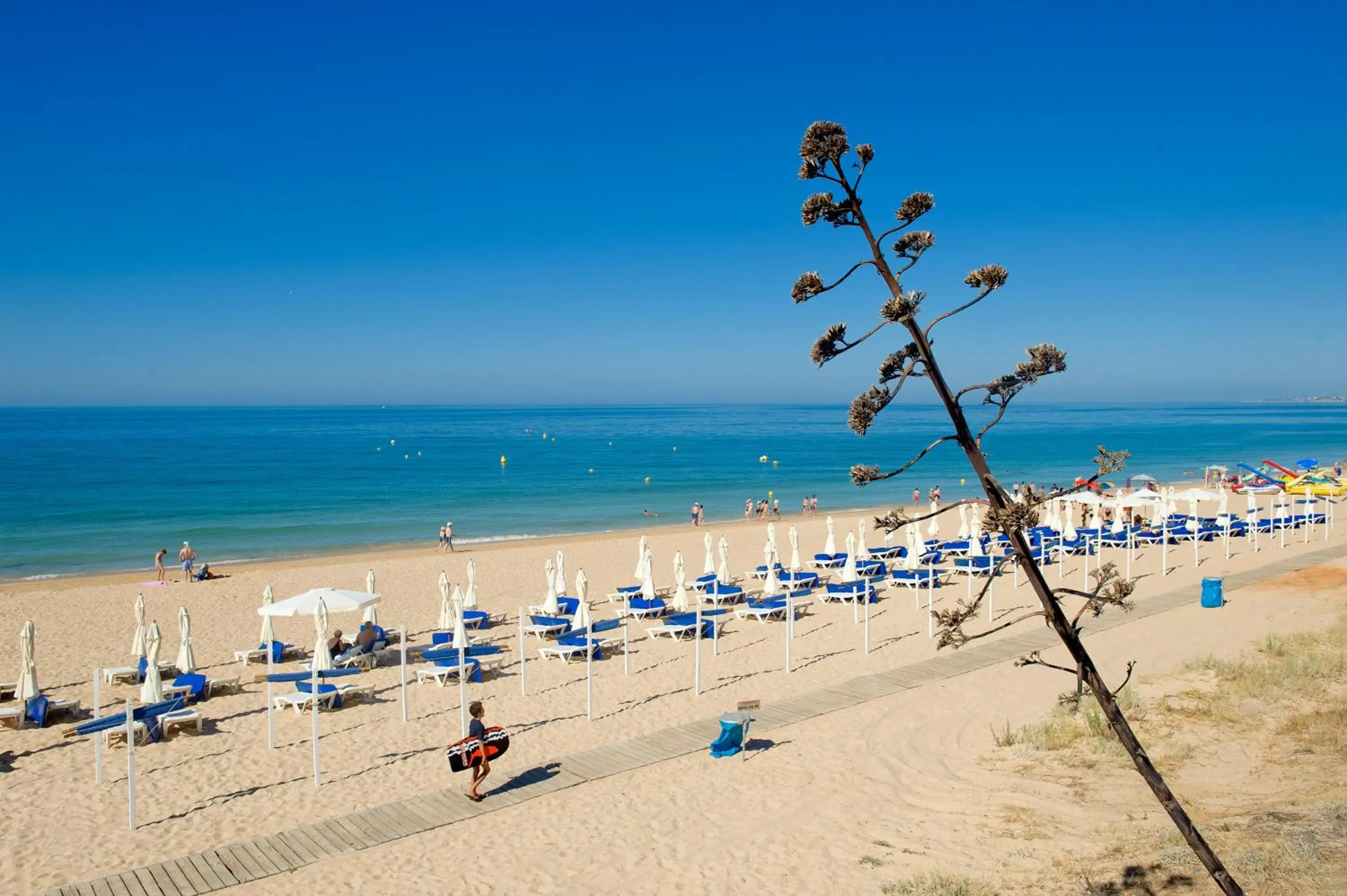 Beach in Luna Miramar Club