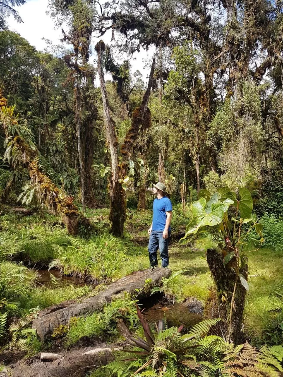 Iyok Ami (Madre Tierra)