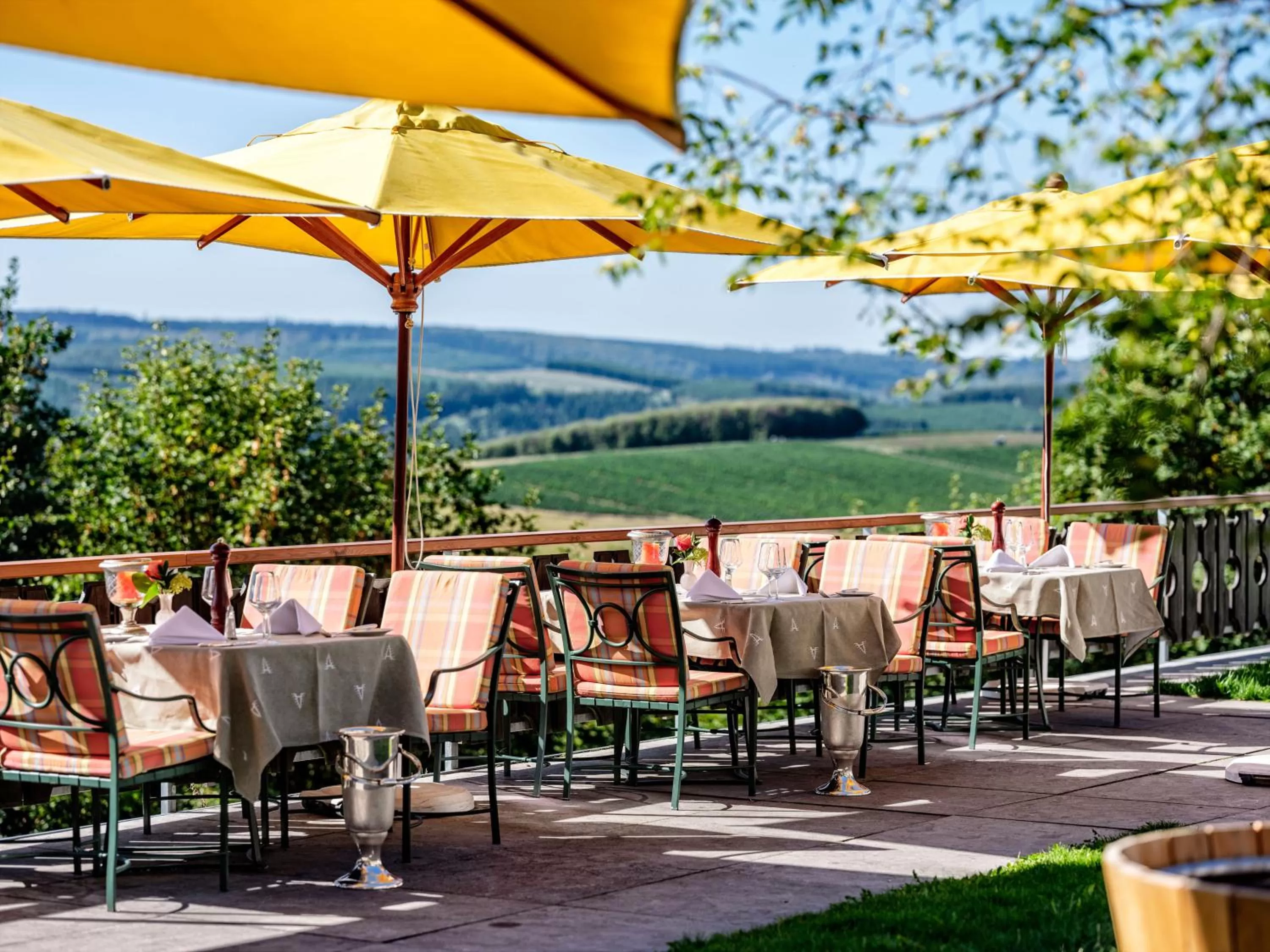 Balcony/Terrace, Restaurant/Places to Eat in Waldhaus Ohlenbach