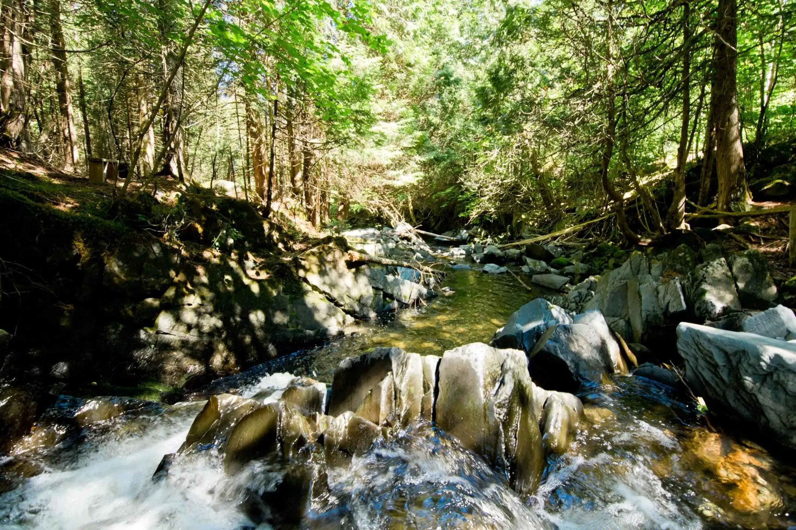 Natural Landscape in Camping Chalets Spas Pignons Rouges