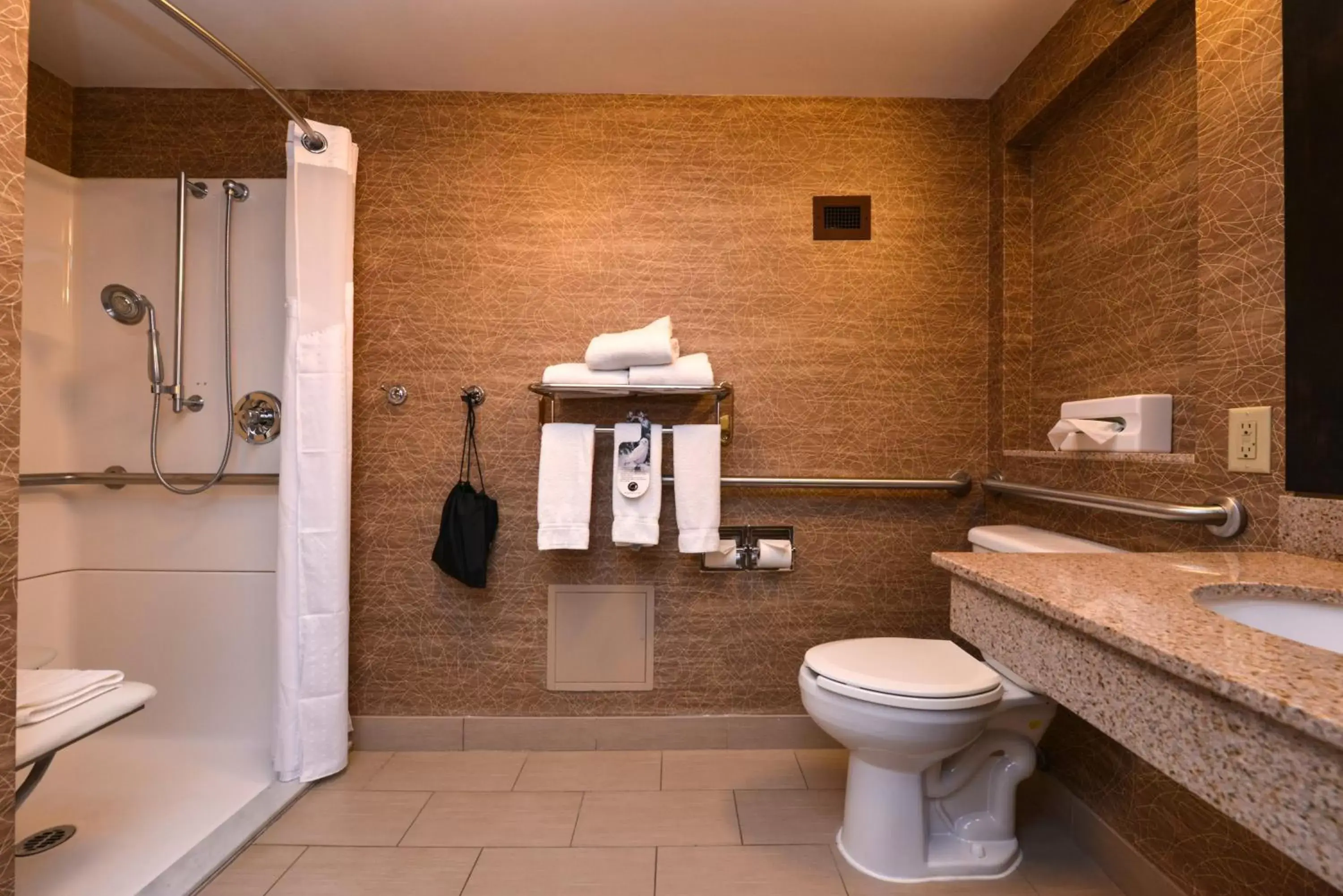 Bathroom in Holiday Inn Express Flagstaff, an IHG Hotel