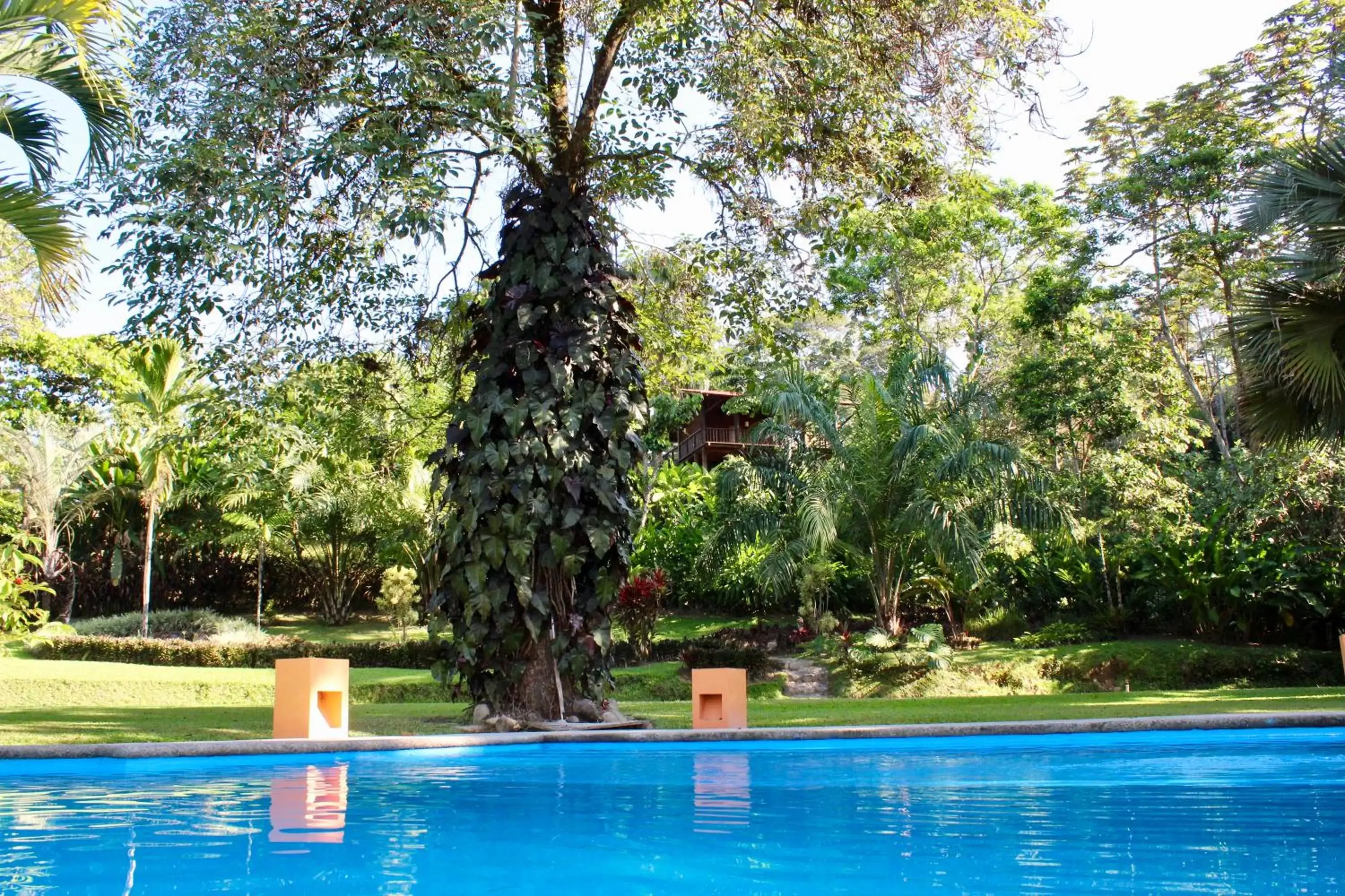 Swimming Pool in Argovia Finca Resort