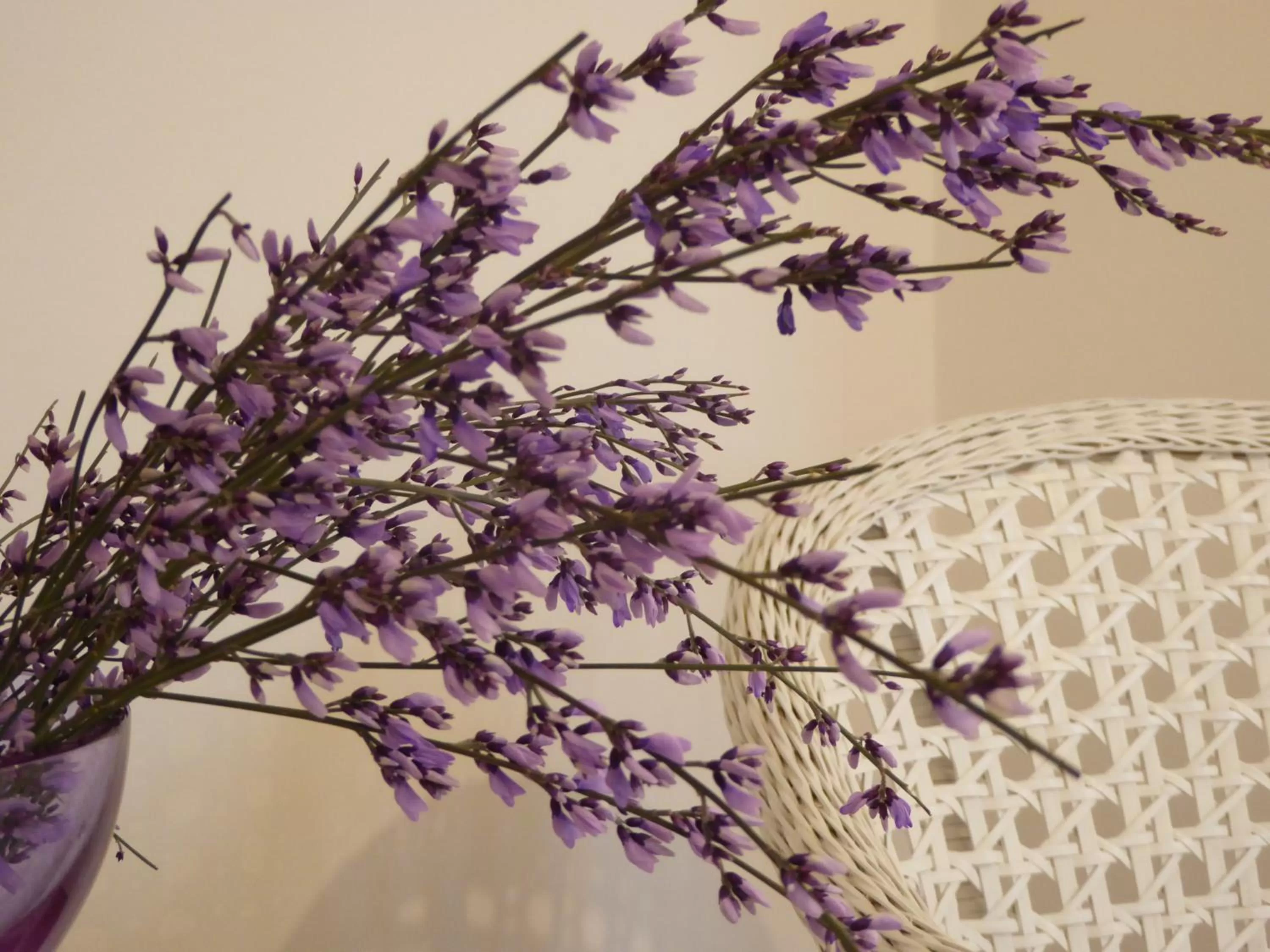 Decorative detail in B&b Vista sul Canal Grande