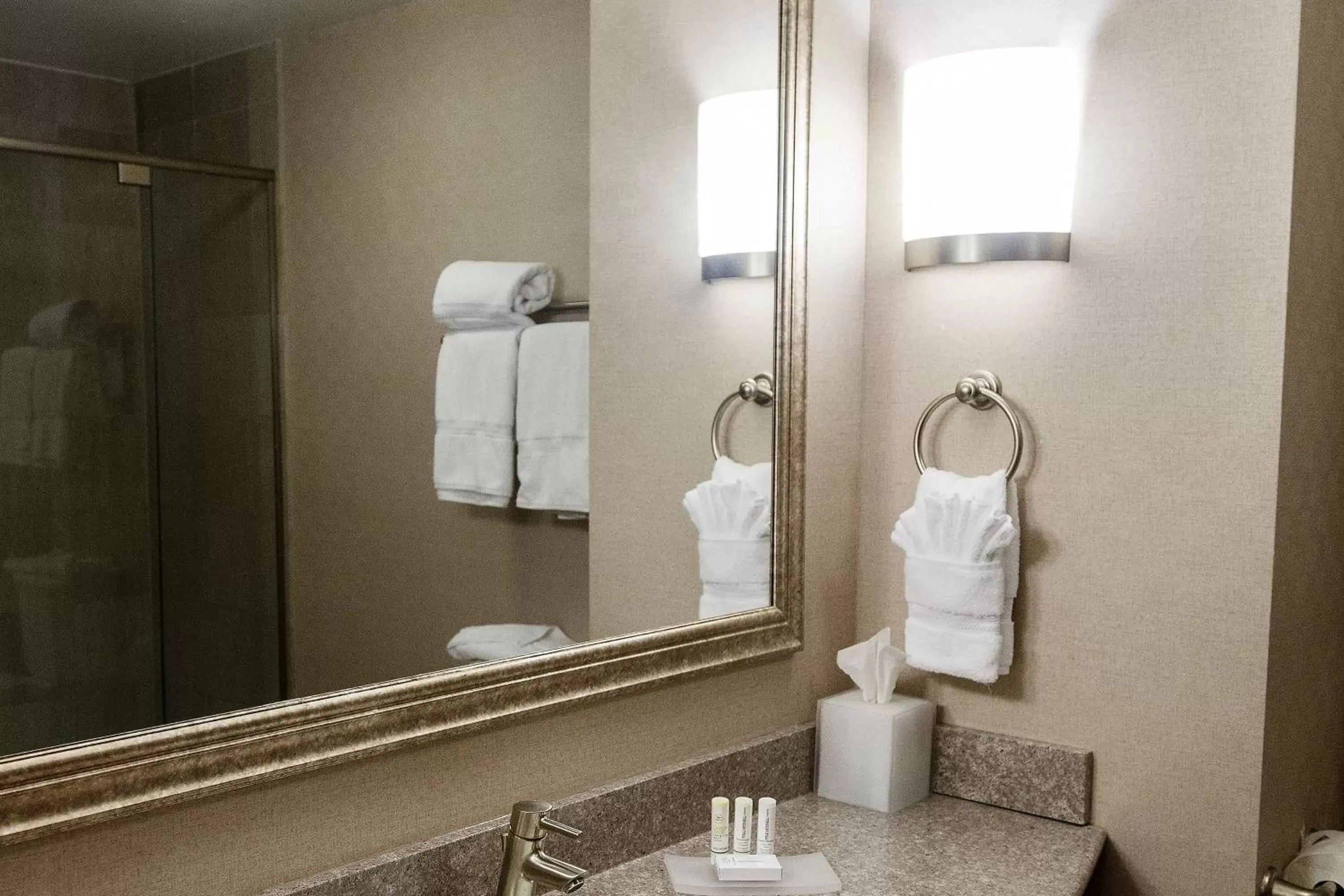 Bathroom in Fairfield Inn & Suites Somerset