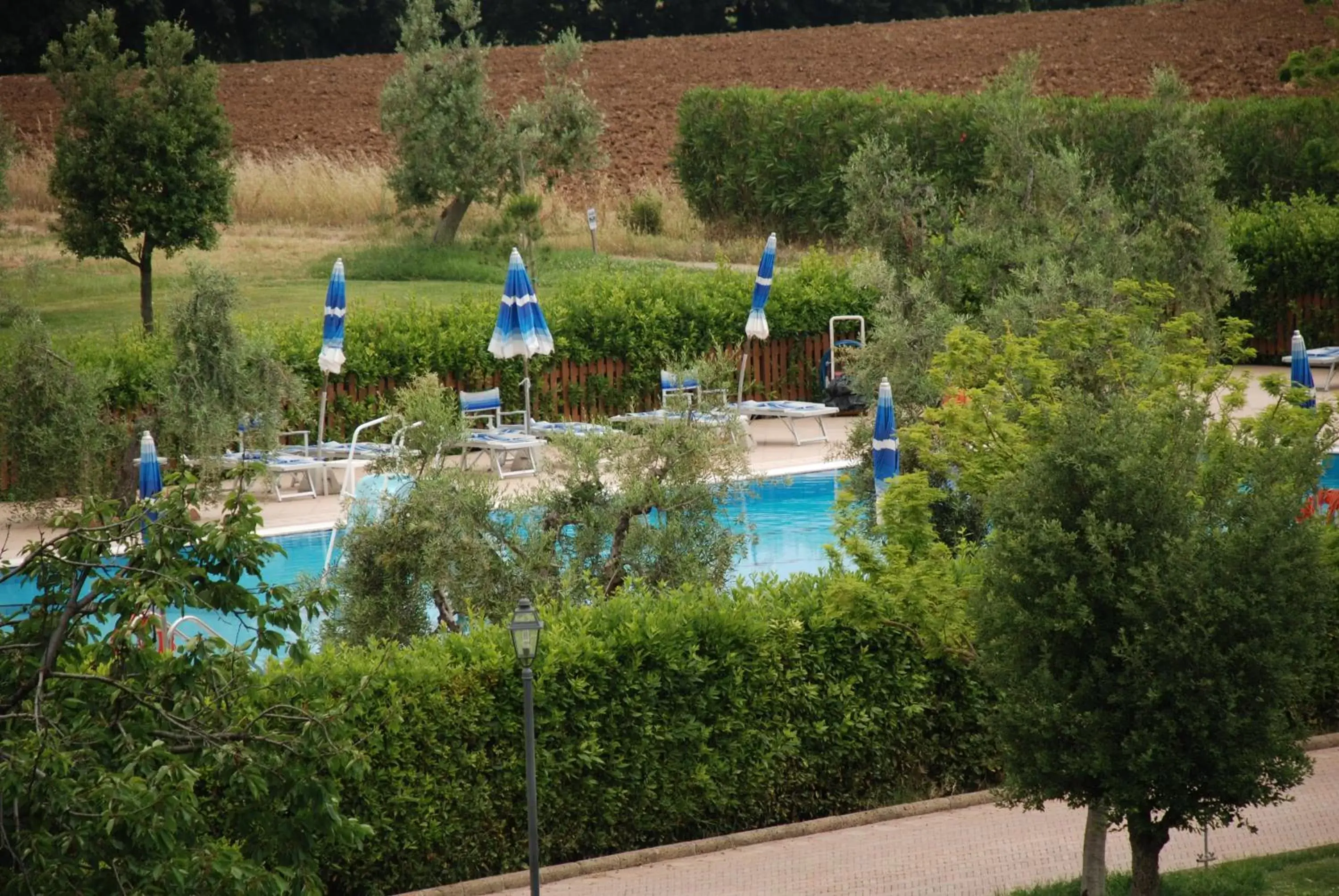 Pool View in Antico Podere San Francesco