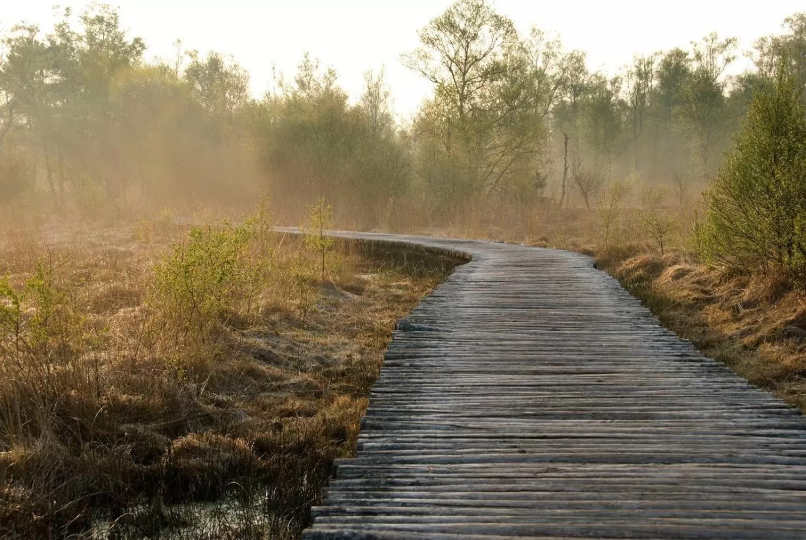 Natural Landscape in Gasthuys de Peel