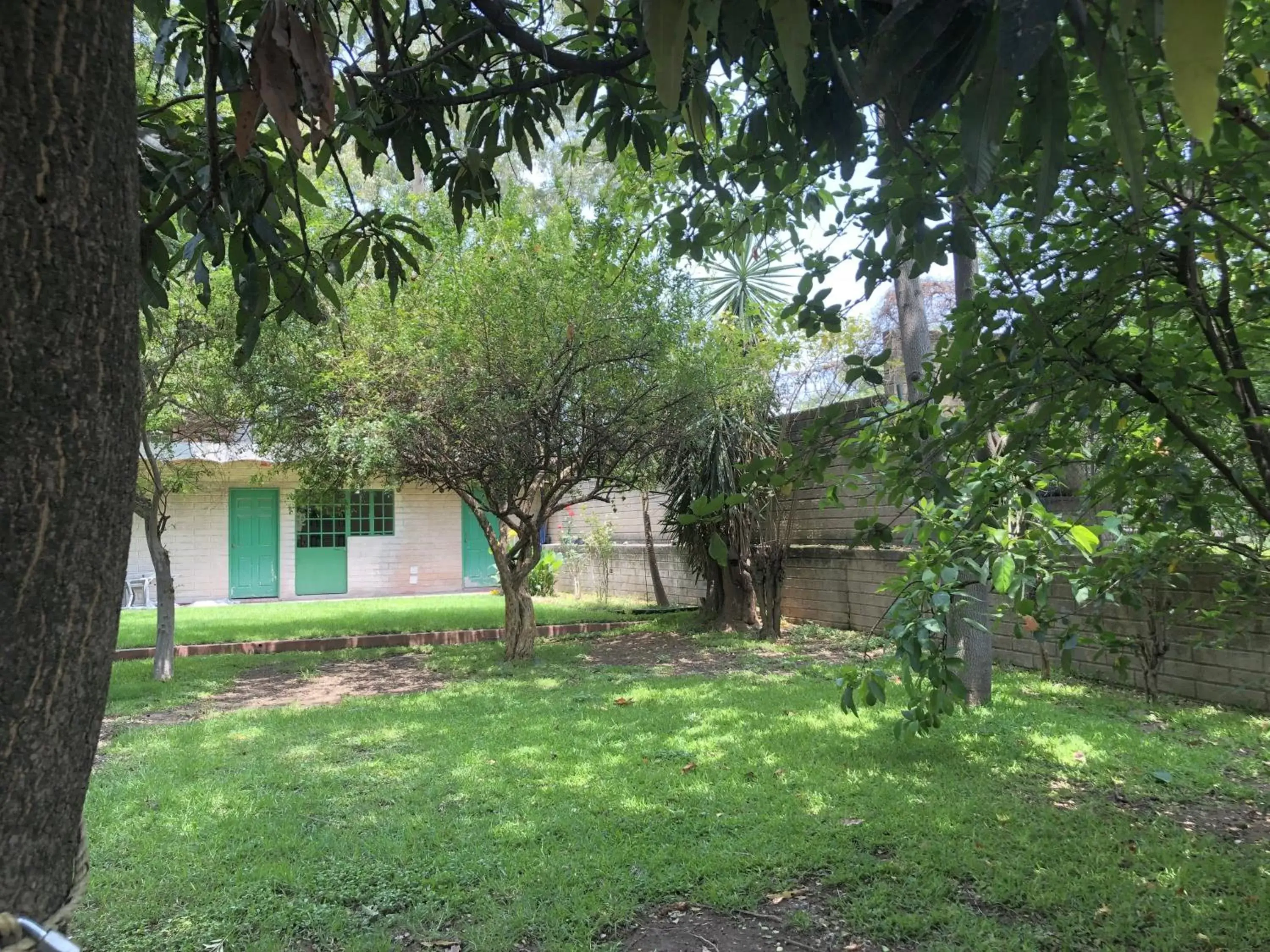 Garden in Casa del Retoño