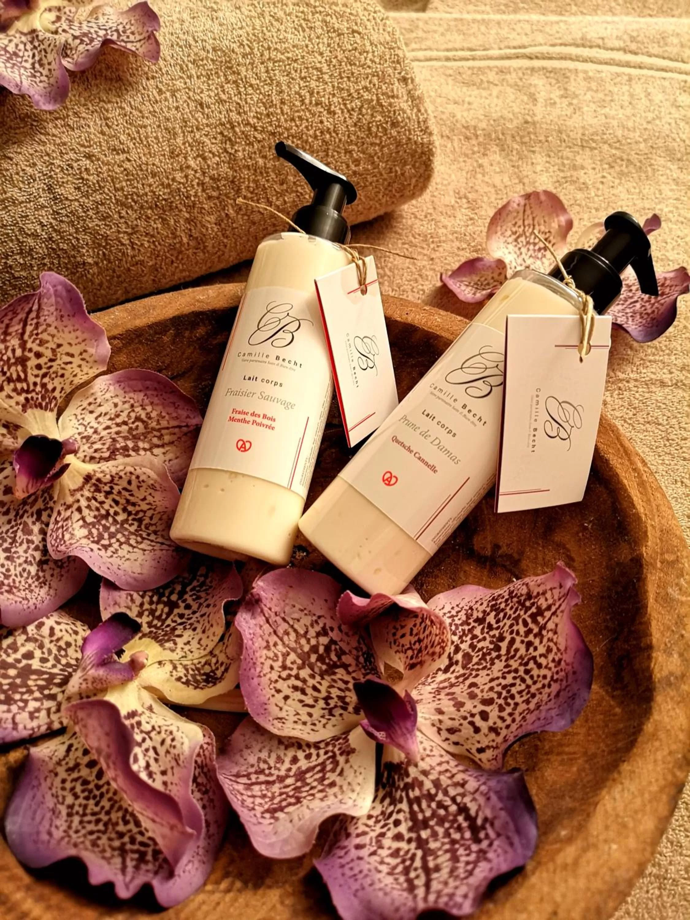 Spa and wellness centre/facilities in Relais et Châteaux Le Chambard