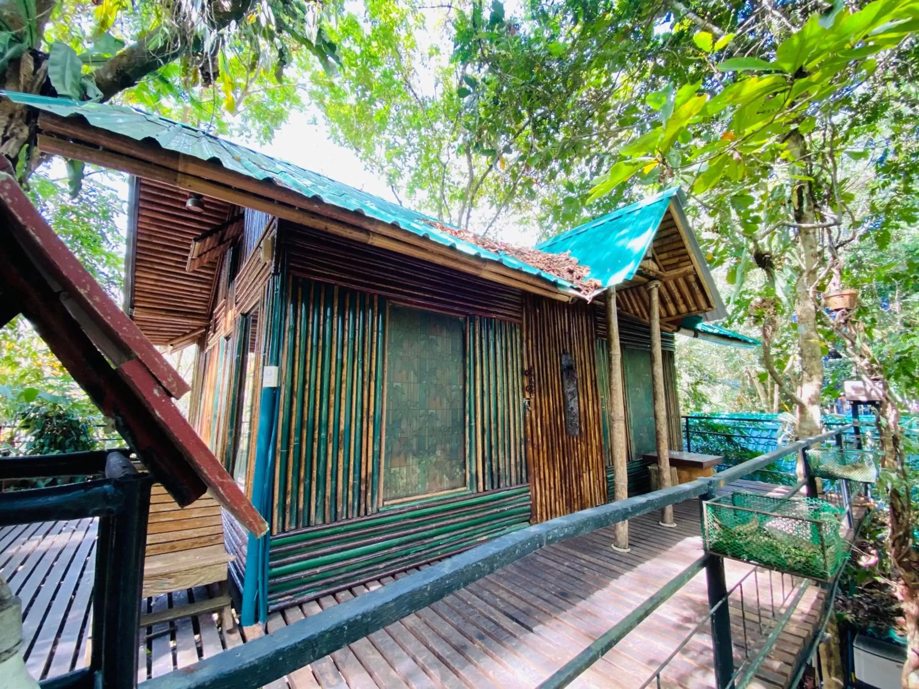 Balcony/Terrace in Khao Sok Tree House Resort