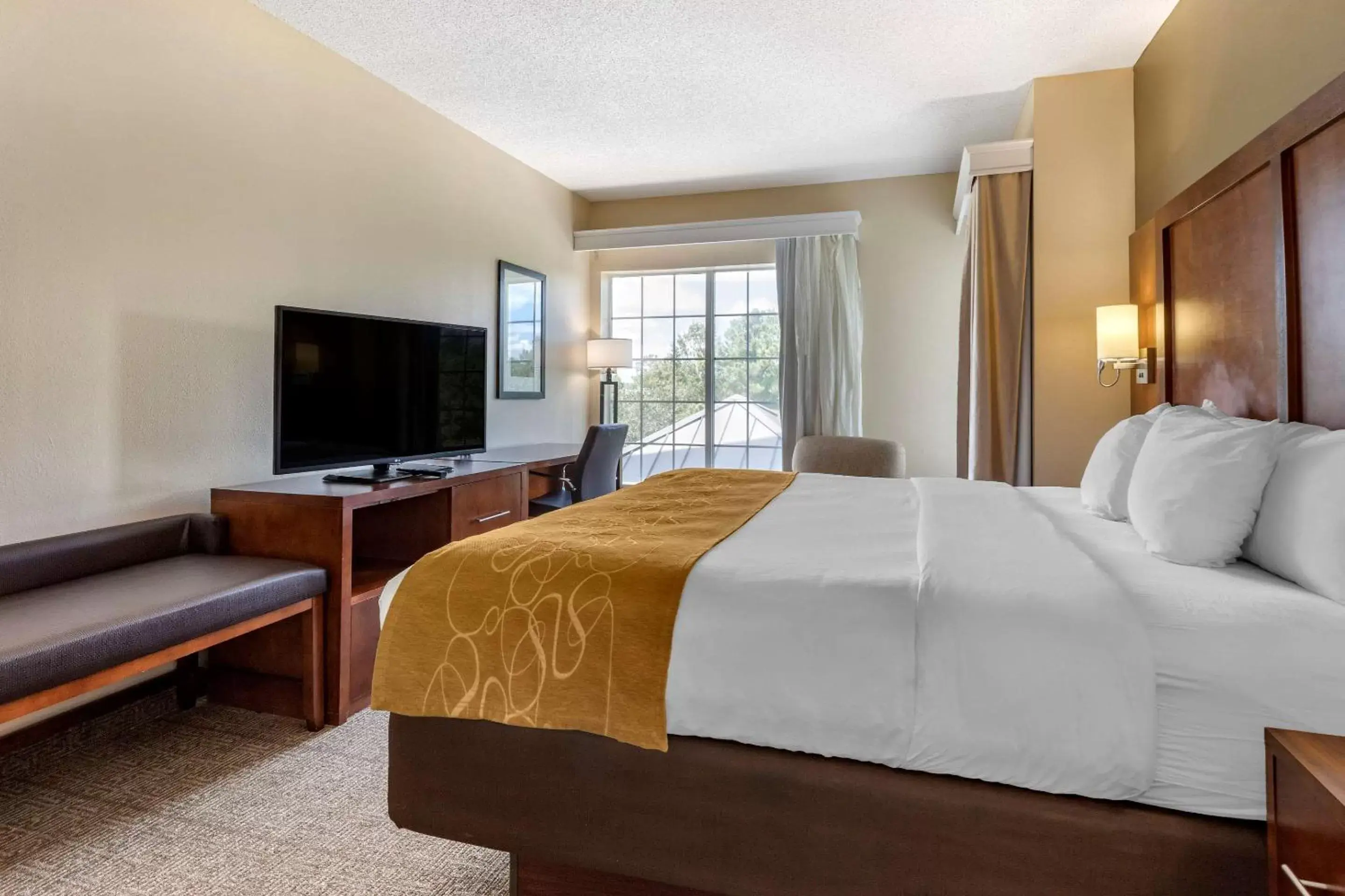 Bedroom in Comfort Suites Myrtle Beach Central