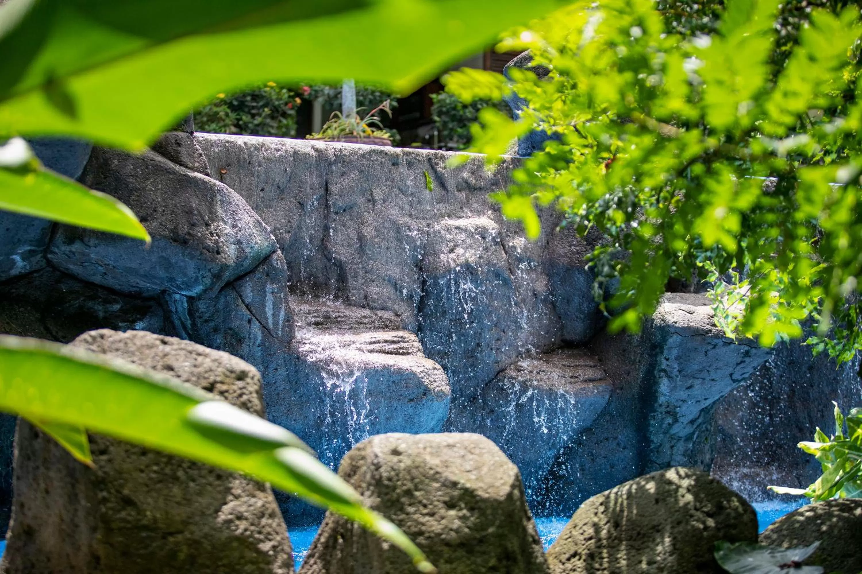 Natural landscape in Pumilio Mountain & Ocean Hotel