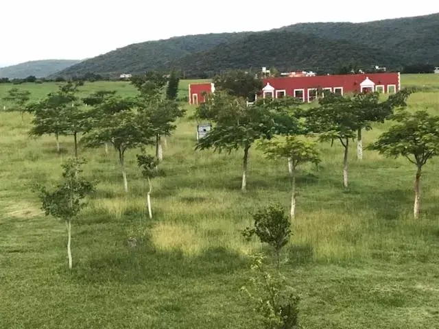 Garden in Hacienda Santa Clara Morelos