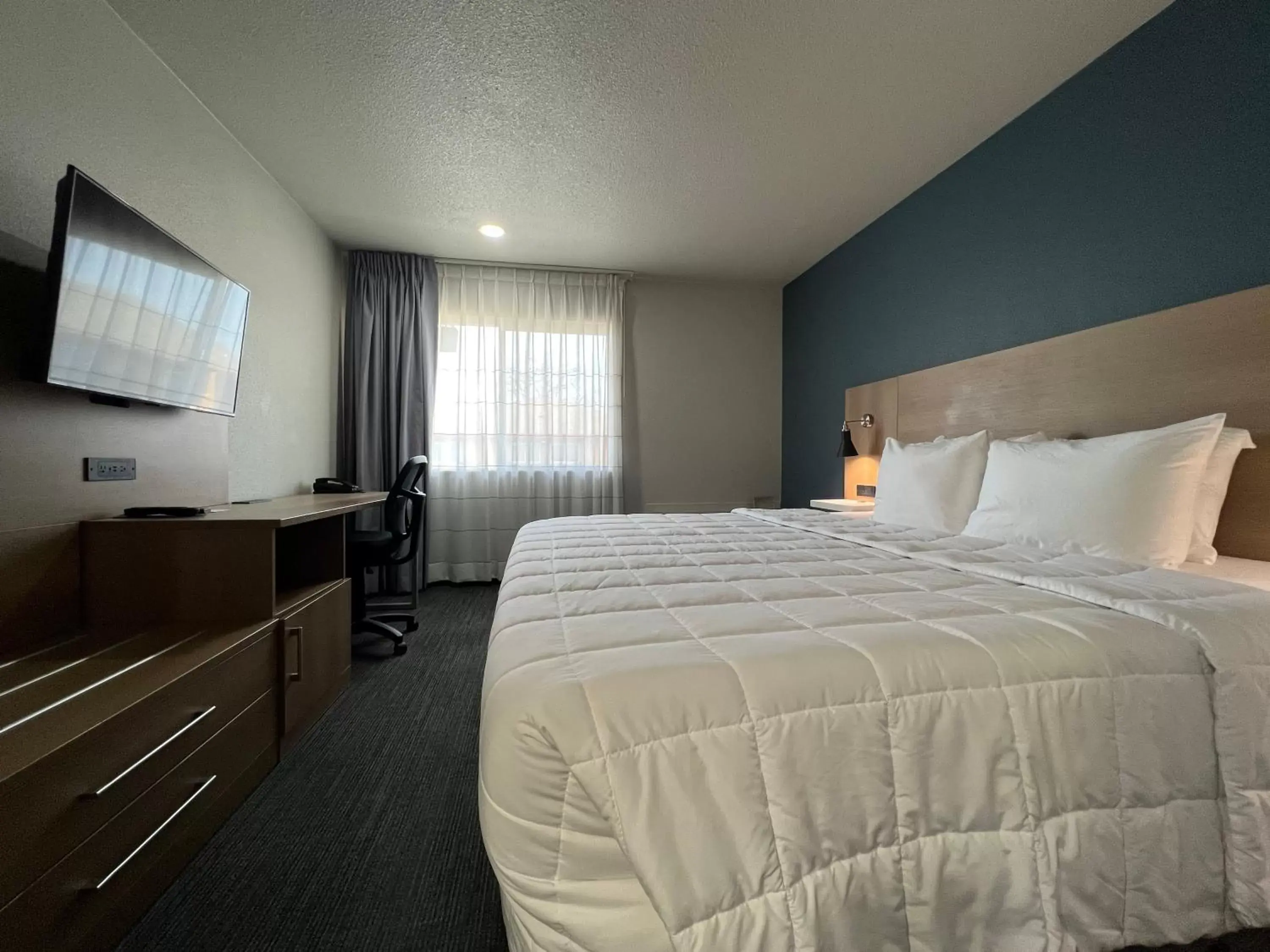 TV and multimedia, Bed in Quality Inn Portland Airport PDX TV and multimedia, Bed in Quality Inn Portland Airport PDX