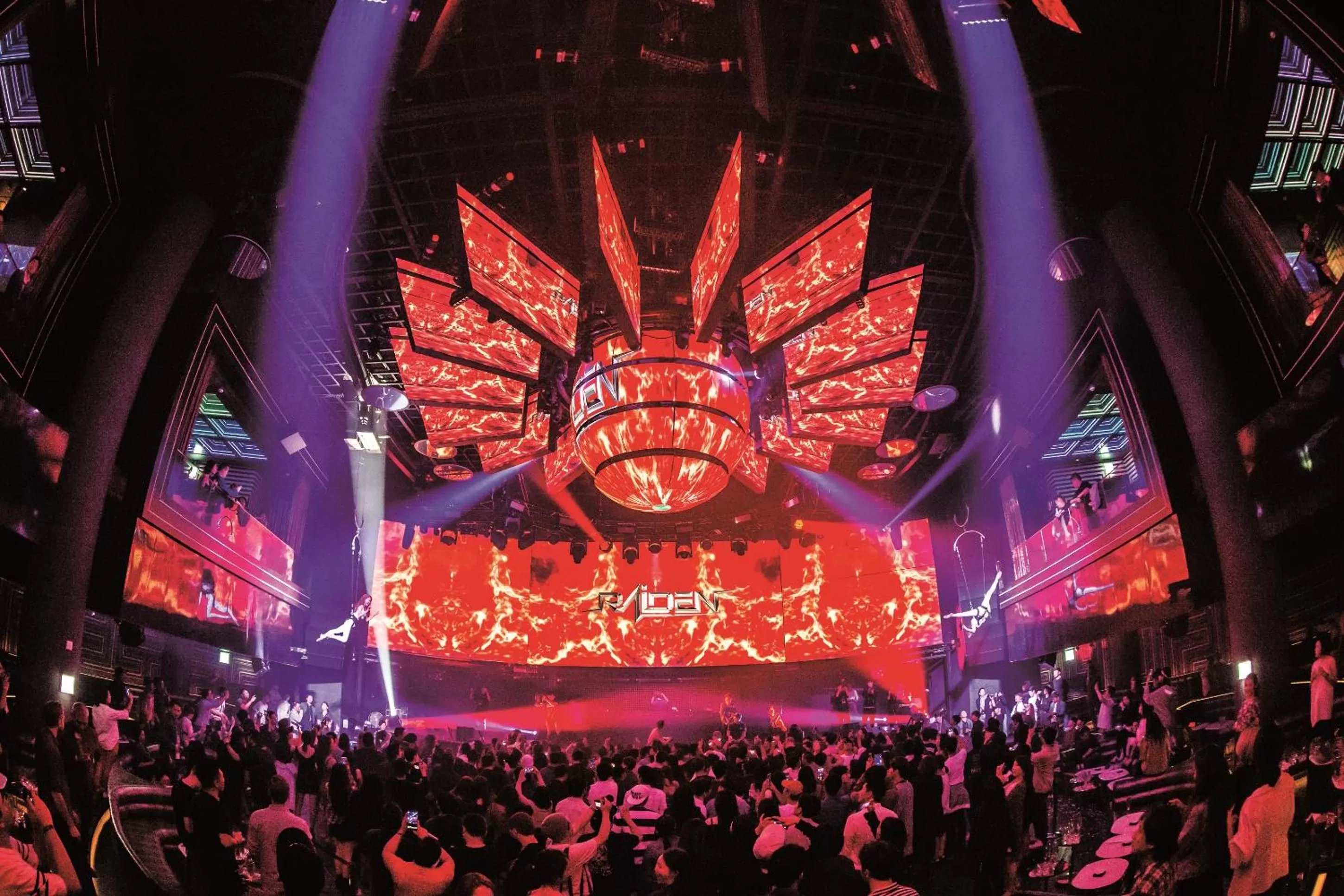 Nightclub / DJ in Paradise City