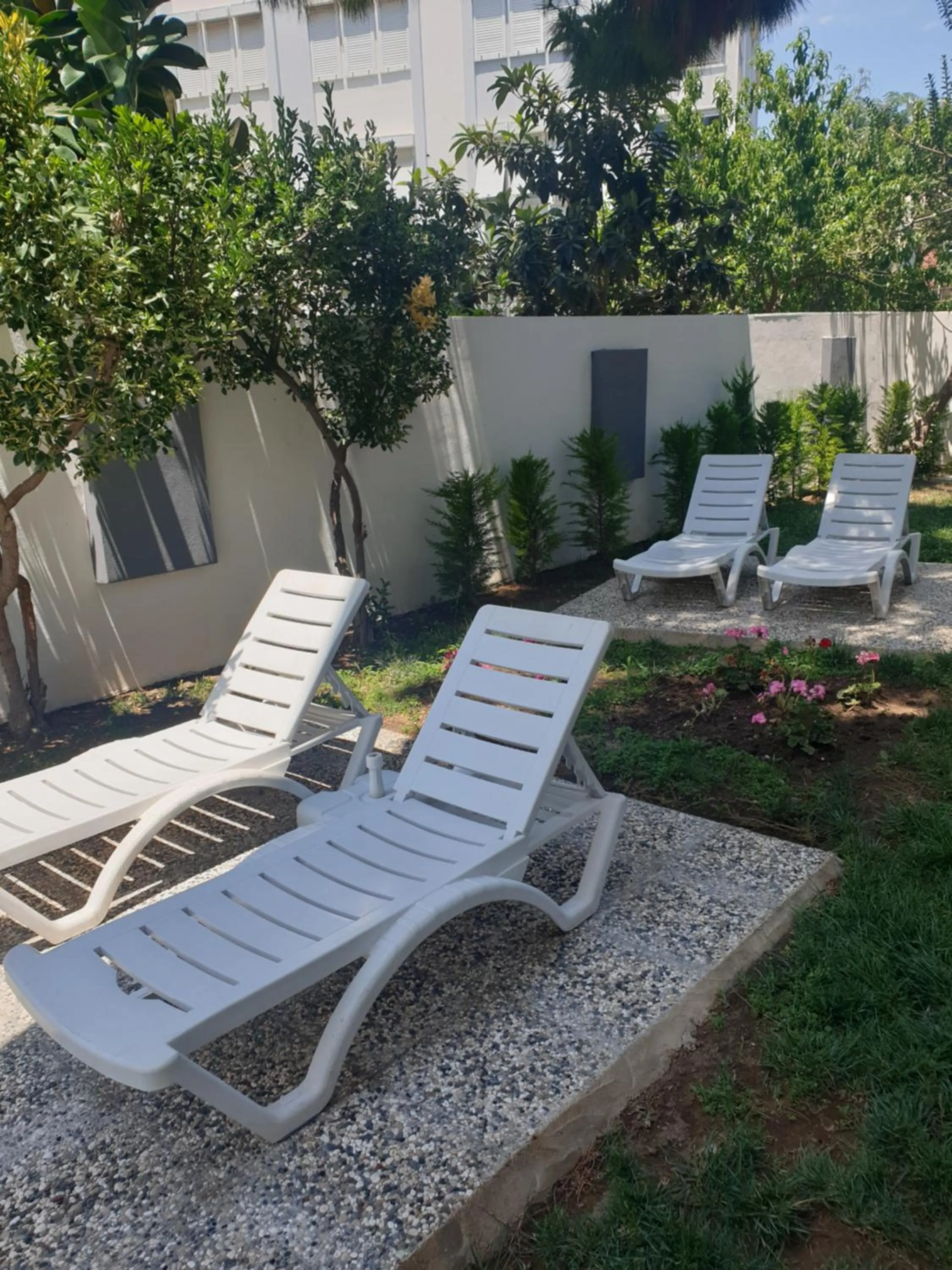 Garden in Esperanza Hotel