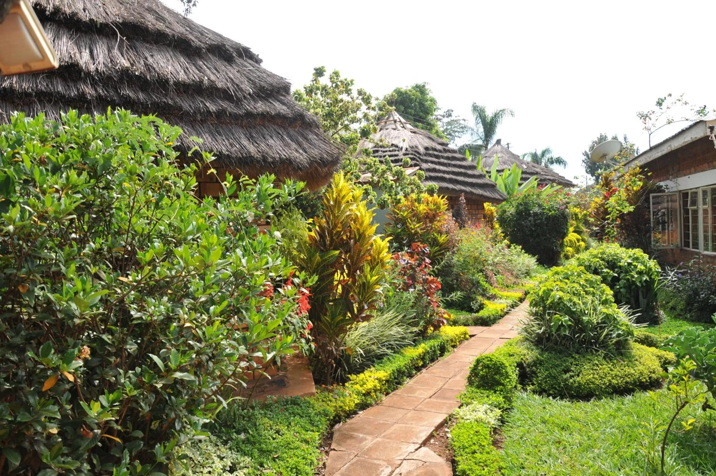 Property Building in New Court View Hotel