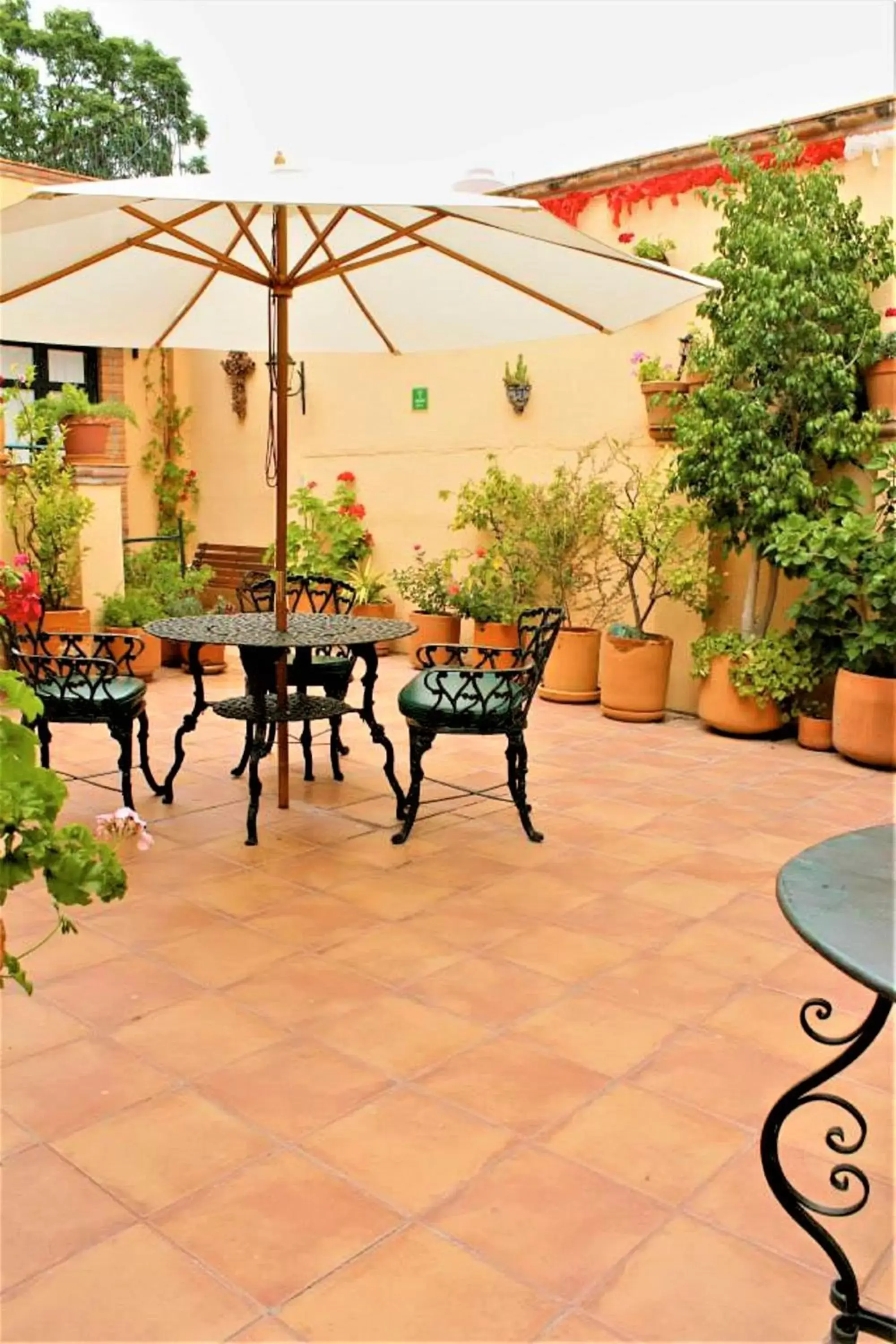 Garden, Restaurant/Places to Eat in Villa Mirasol