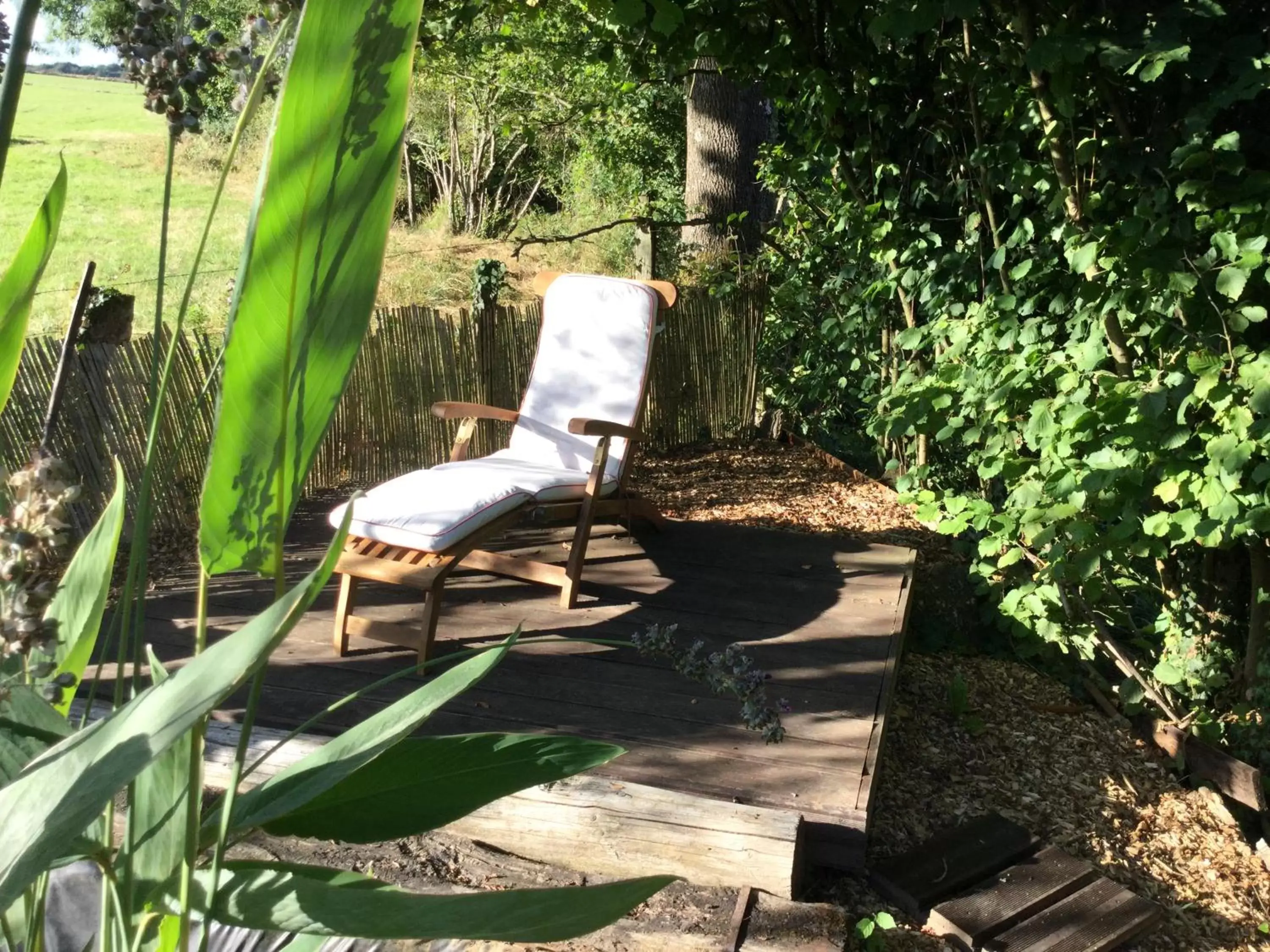 Garden in la Grange de Félicie