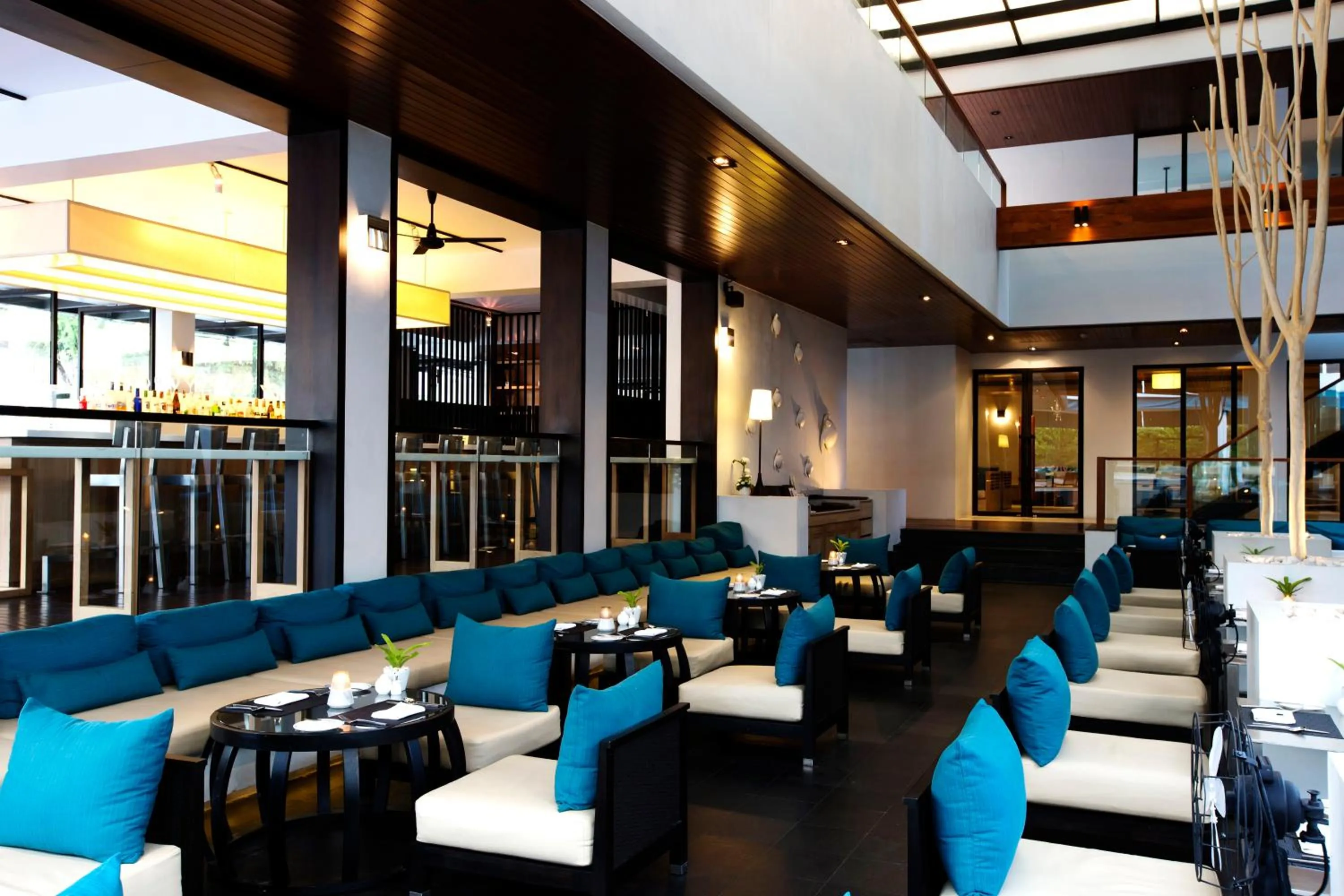 Restaurant/places to eat in Nap Patong