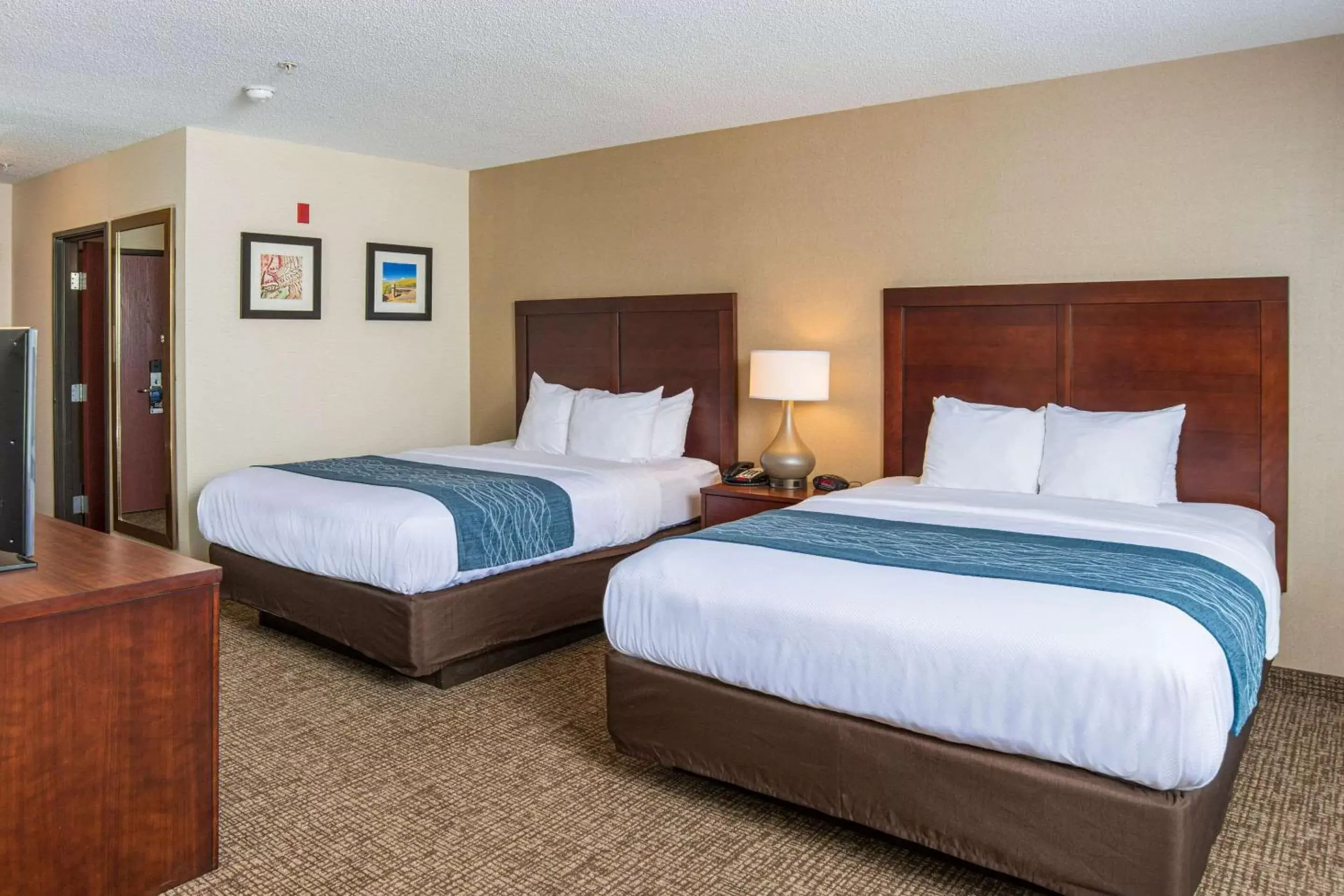 Photo of the whole room, Bed in Comfort Inn Naugatuck-Shelton, CT