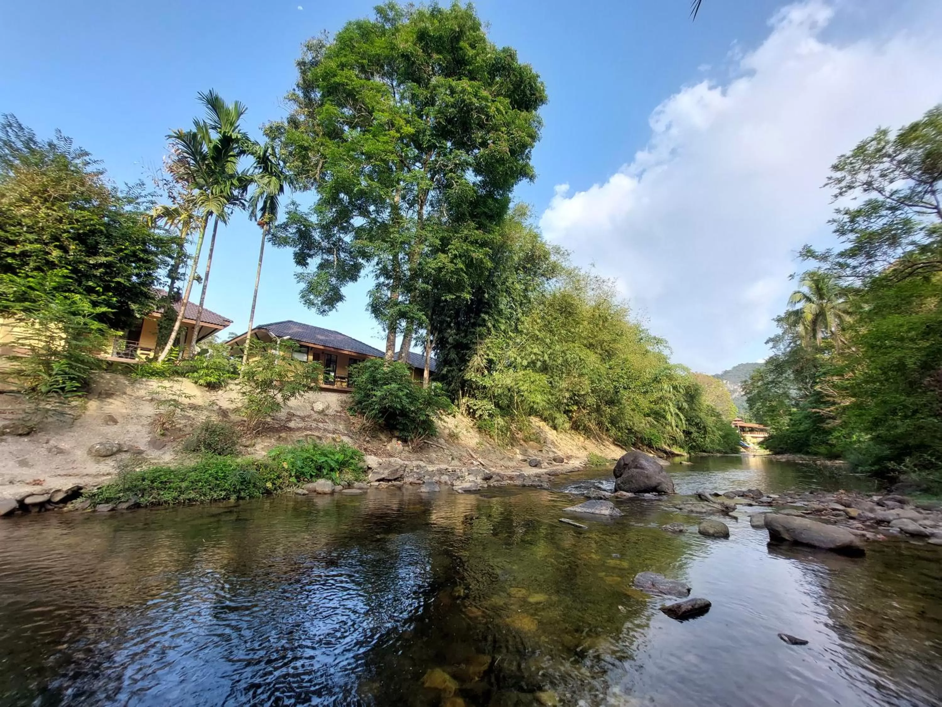 Khaosok Rainforest Resort