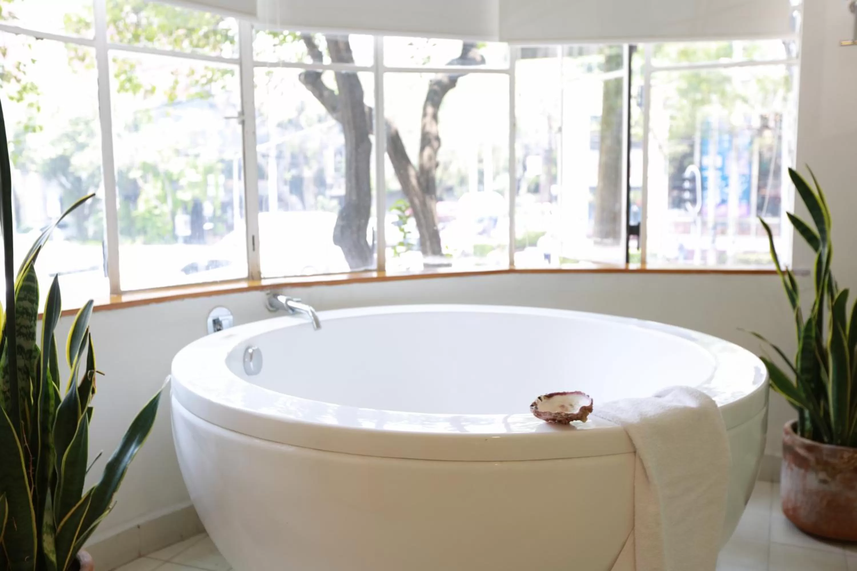 Bathroom in Casa Nuevo Leon