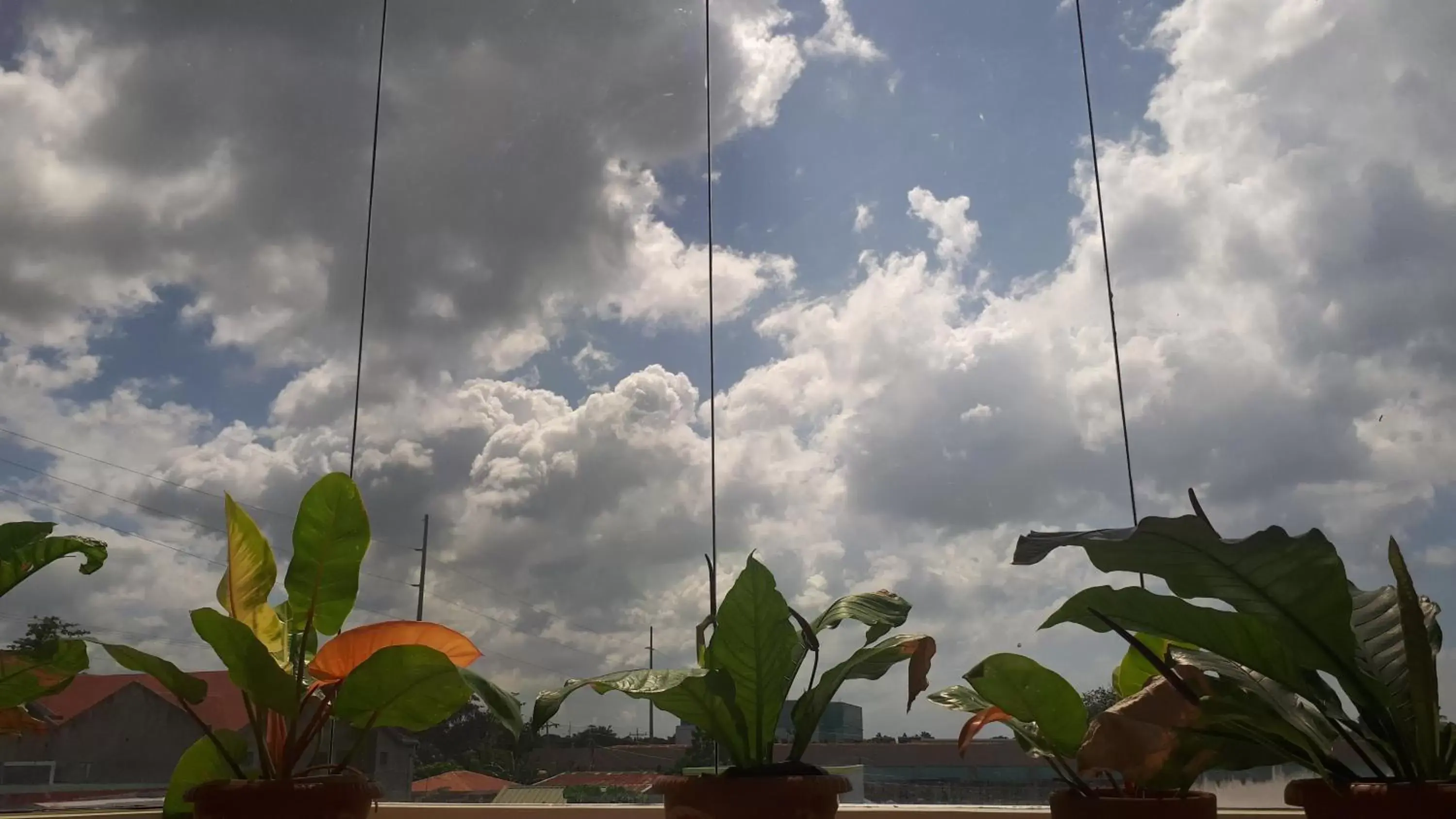 Adams View Hotel Adams View Hotel