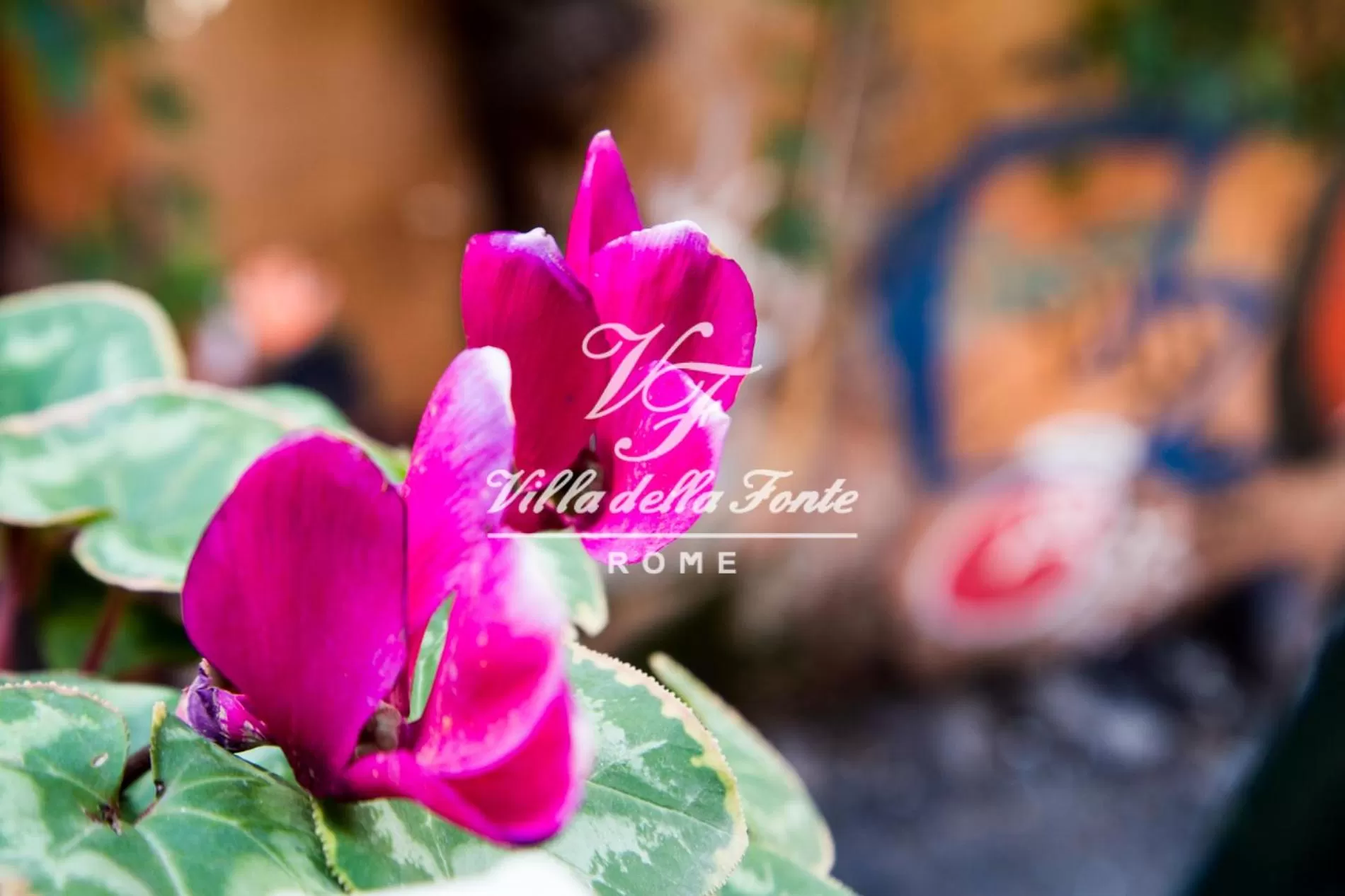 City view in Villa della Fonte