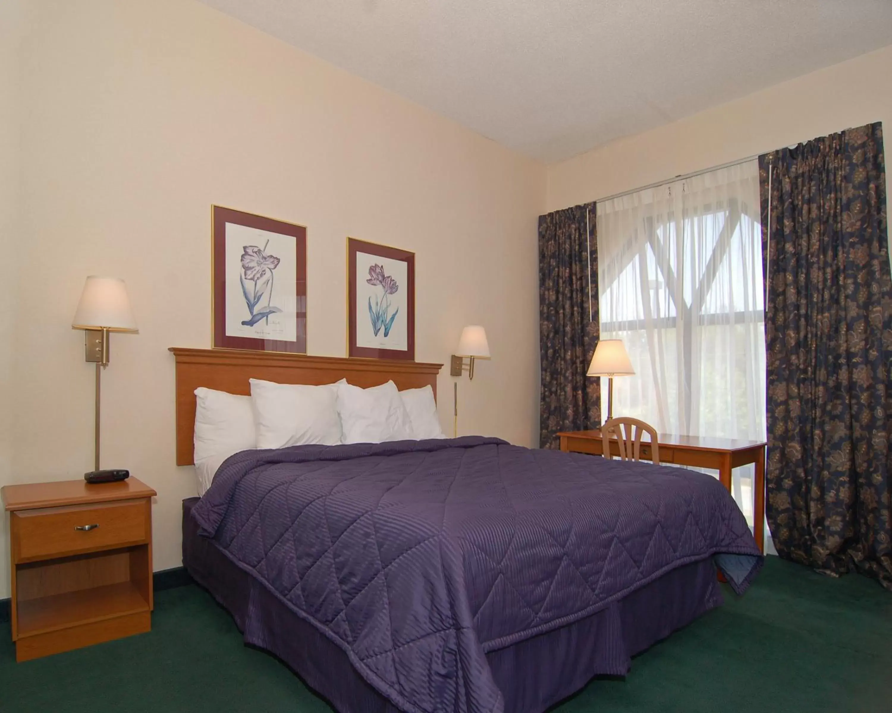 King Room - Non-Smoking in Econo Lodge Hendersonville