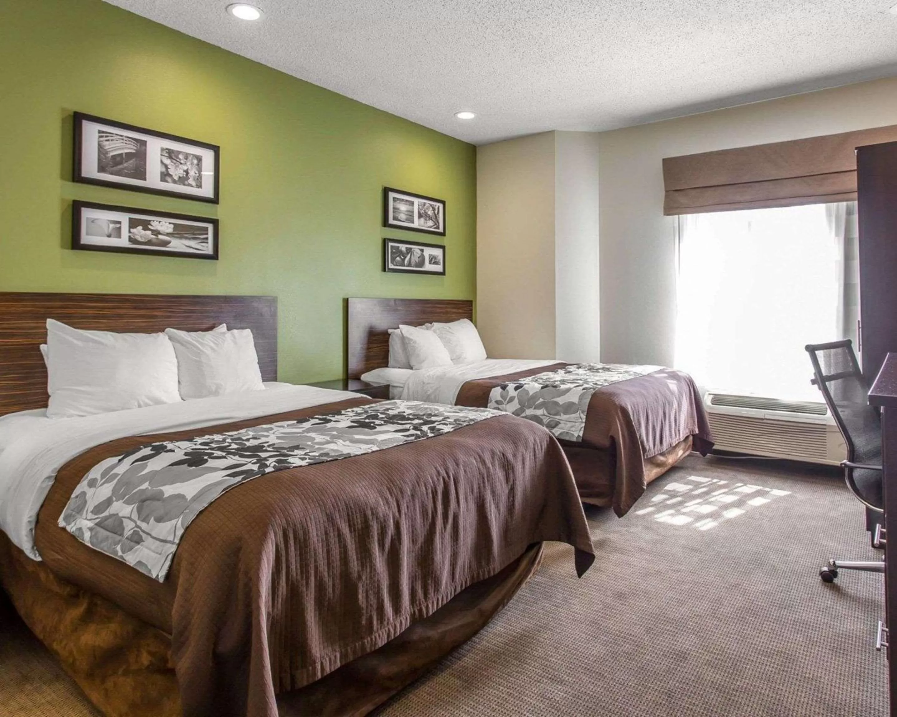 Photo of the whole room, Bed in Sleep Inn Columbia