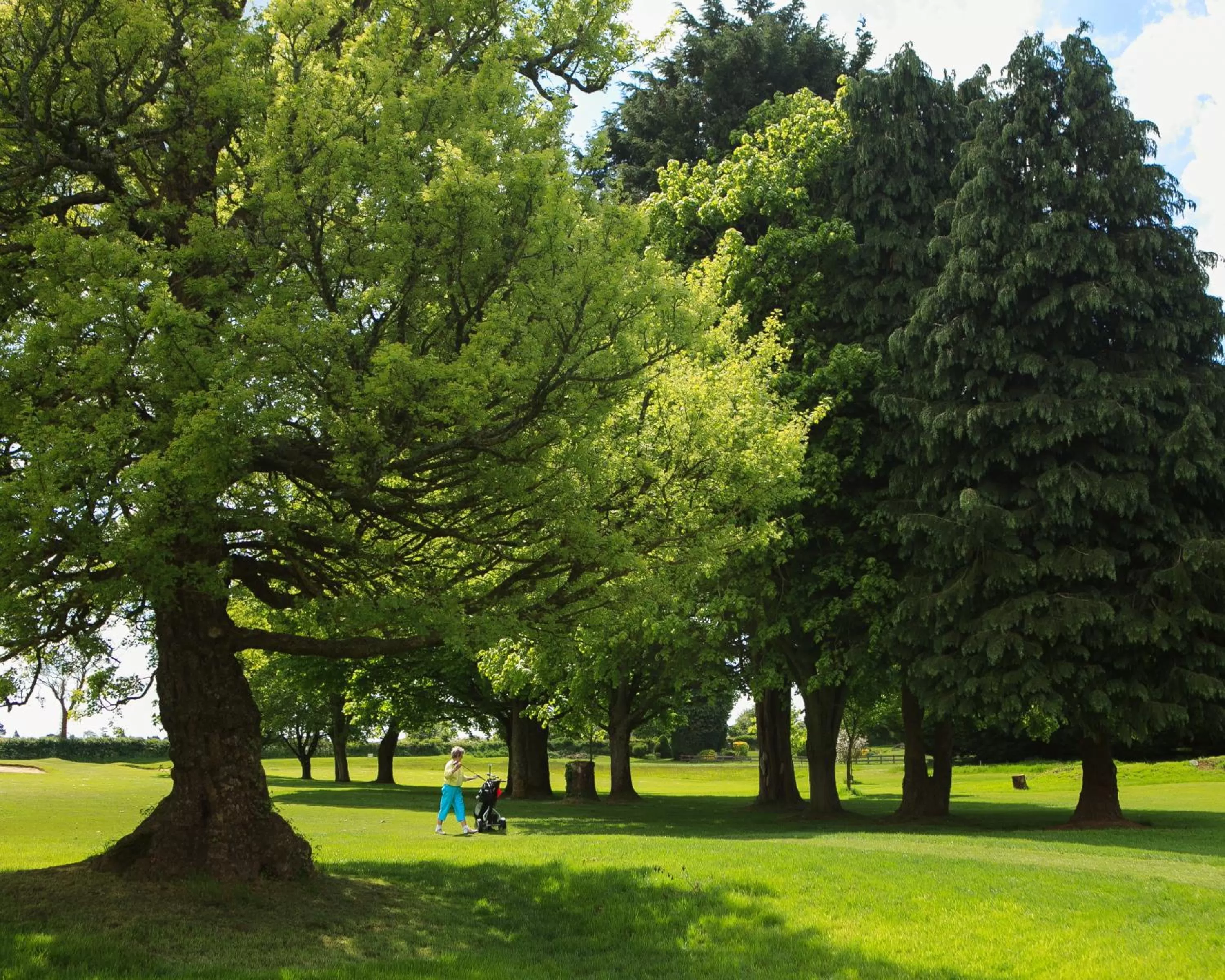 Garden in Best Western Plus Centurion Hotel