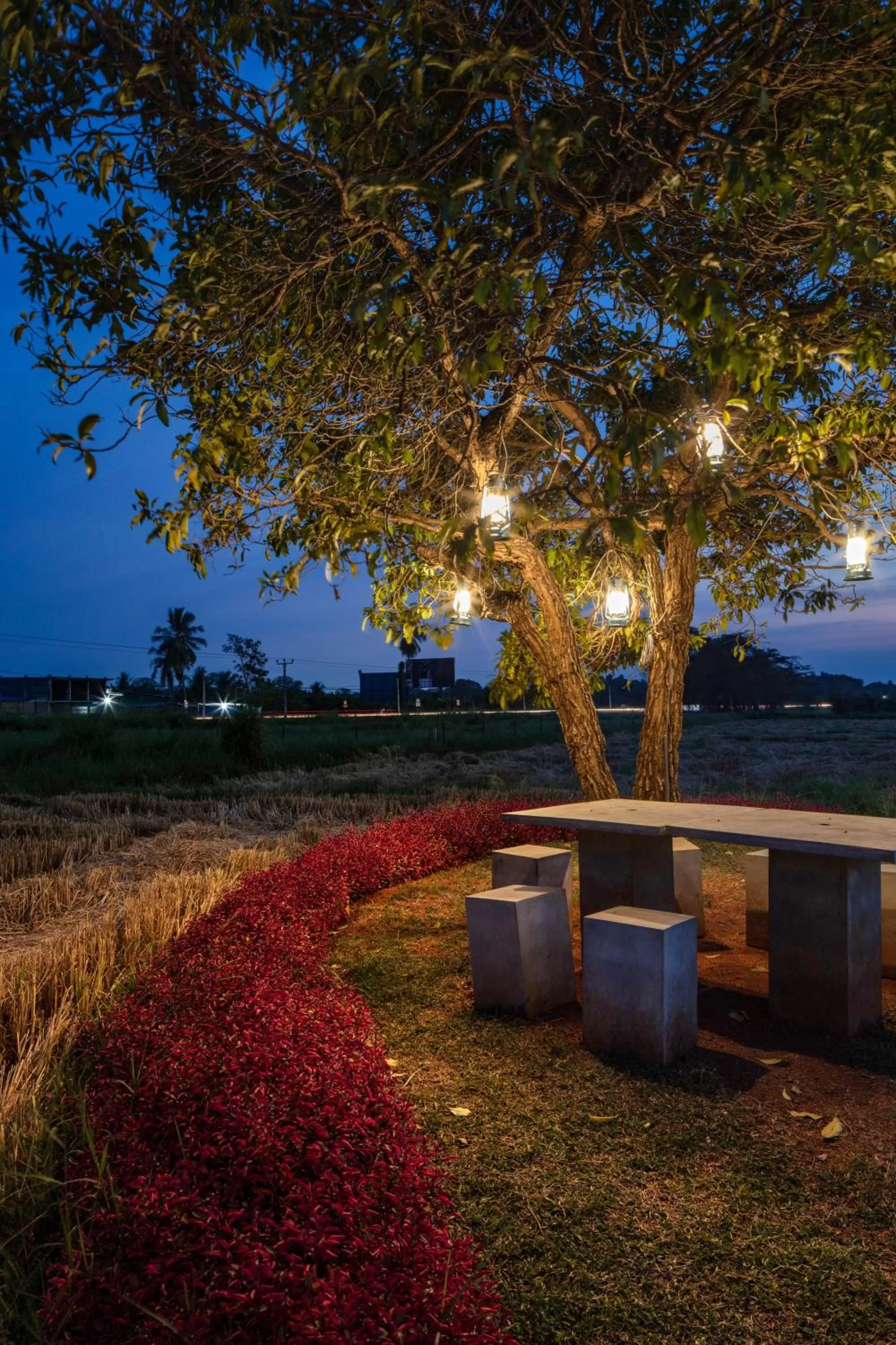 Natural landscape in Kubura Resort