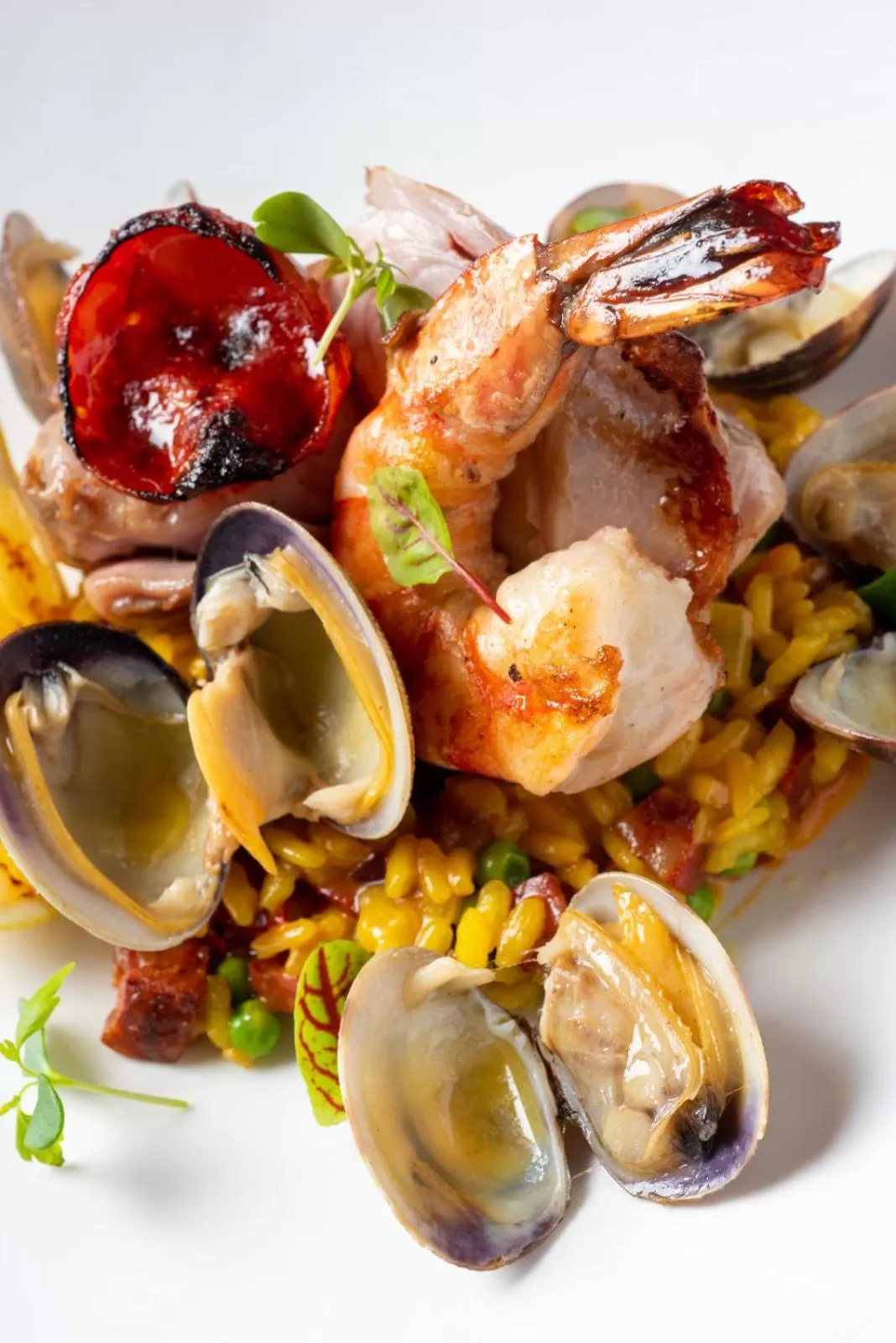 Food and drinks in Domaine la Pierre Blanche