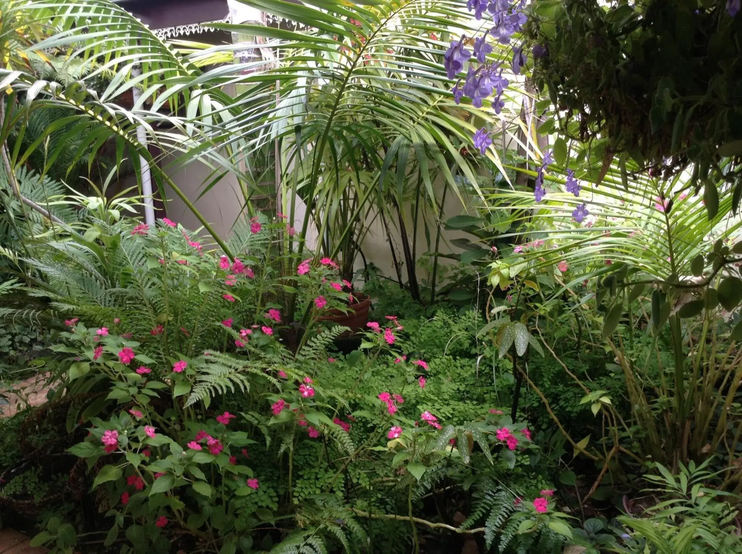 Facade/entrance, Garden in The Noble Grape Guesthouse