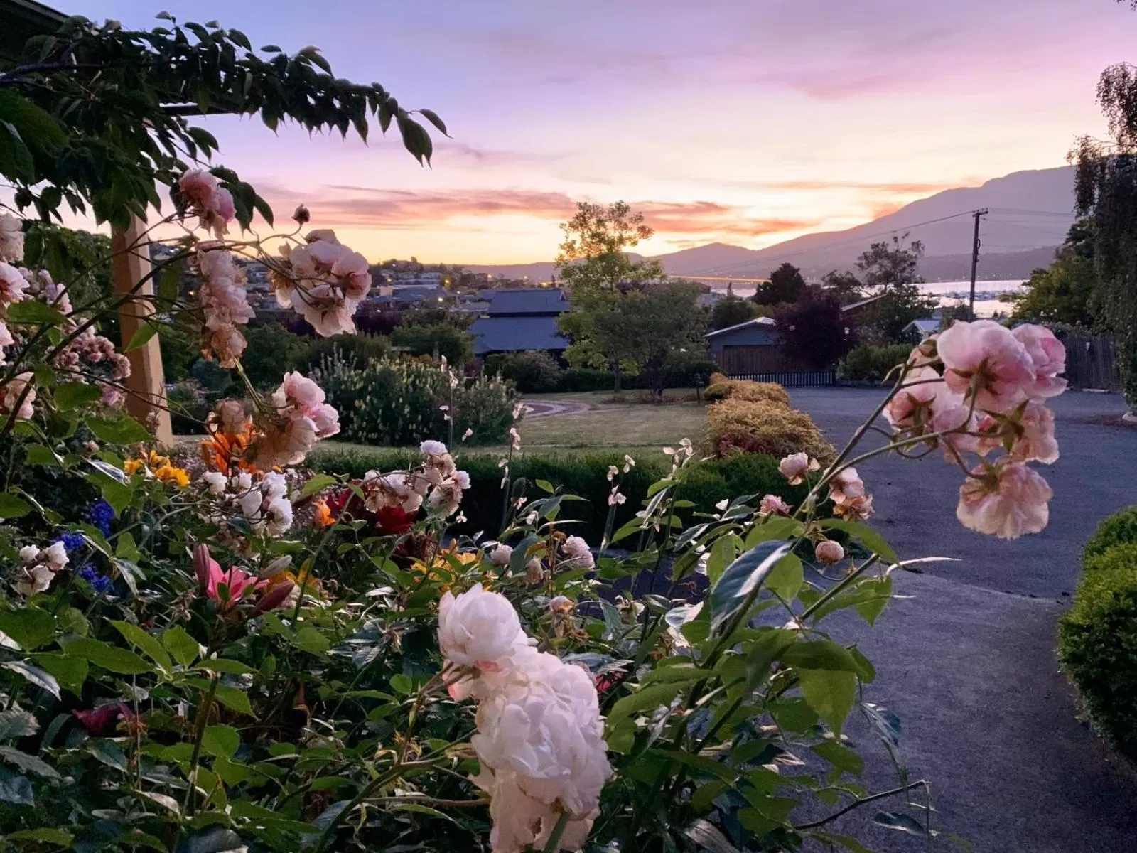 Garden in Orana House