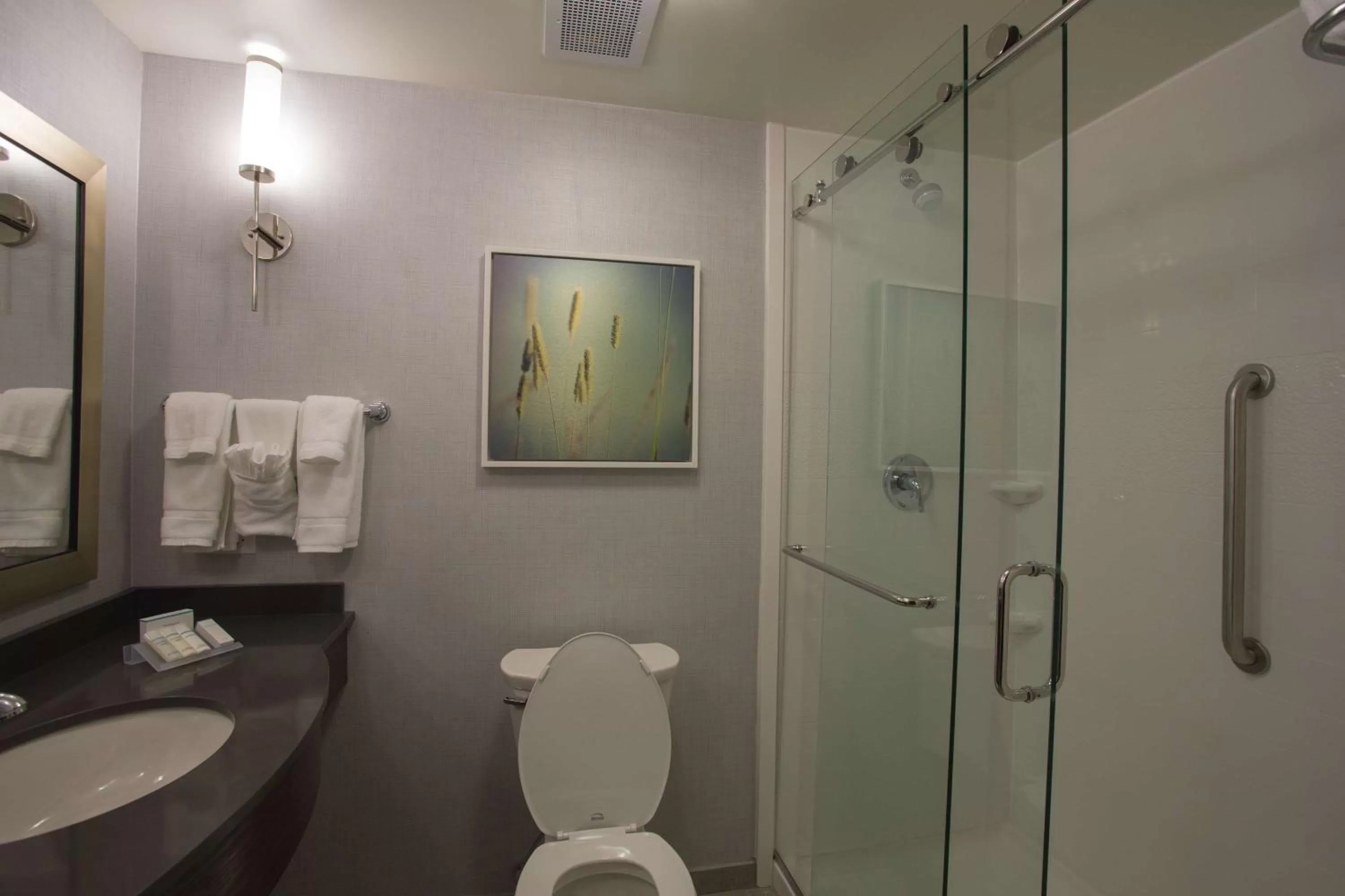 Bathroom in Hilton Garden Inn Bolingbrook I-55