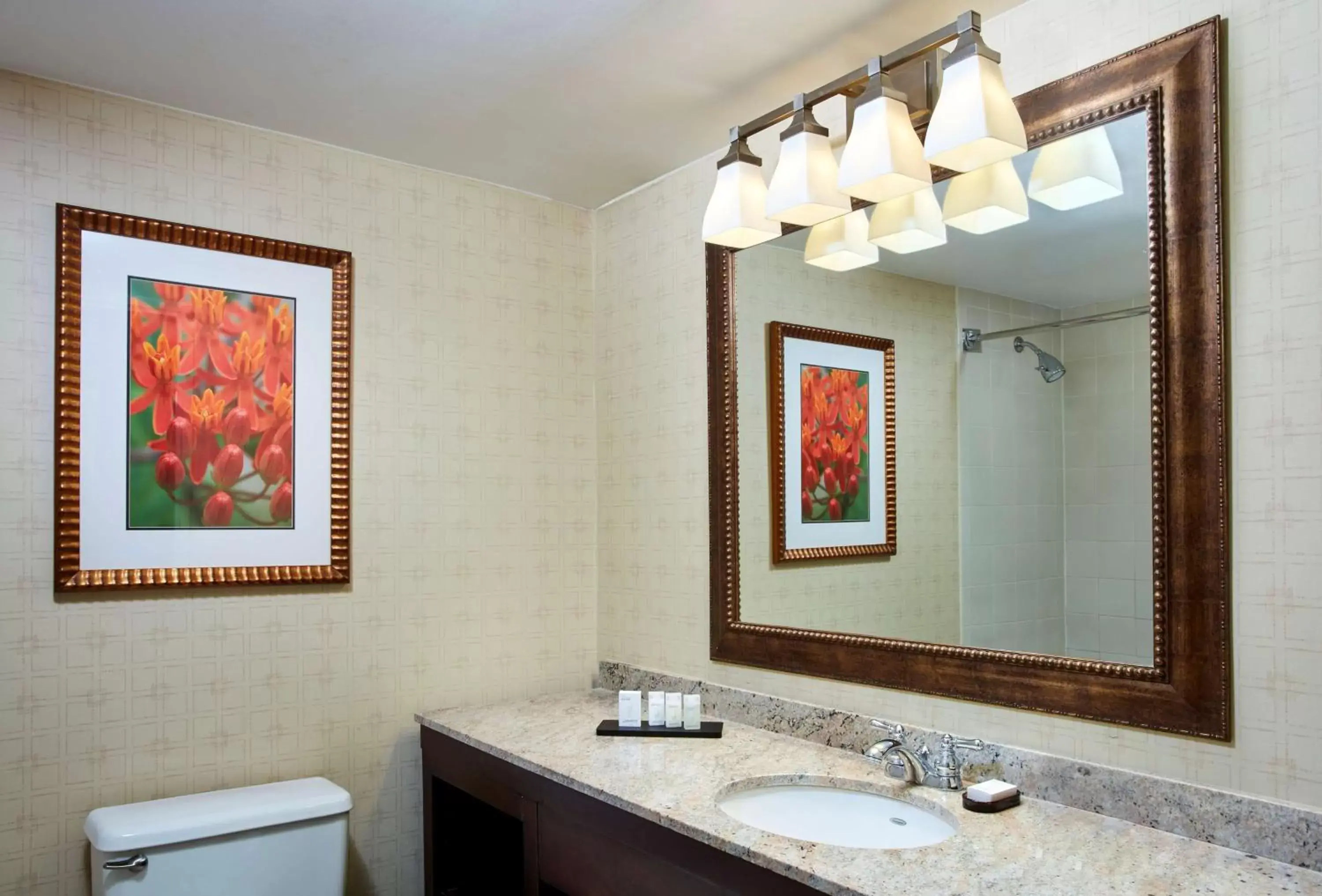 Bathroom in Embassy Suites Parsippany