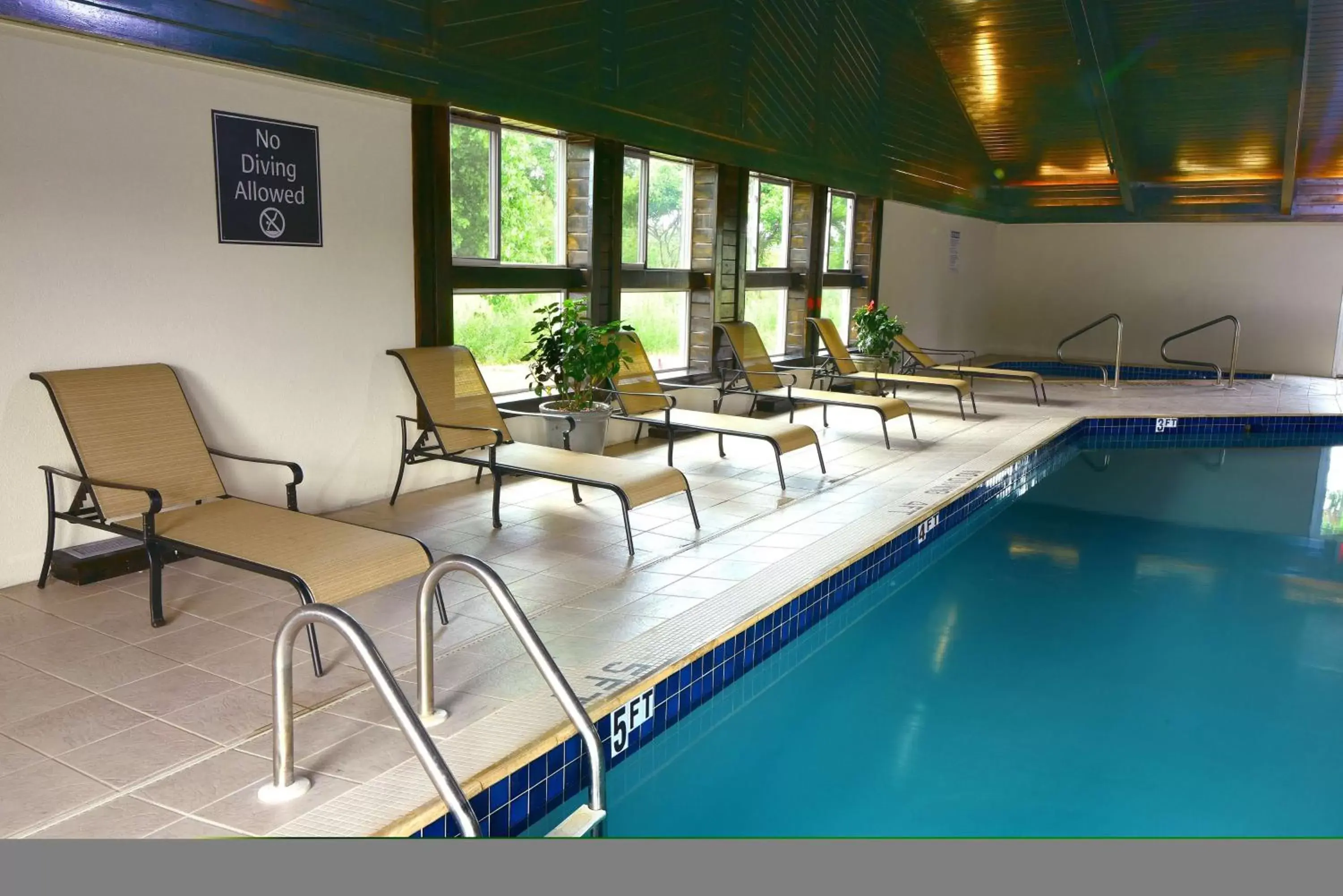 Pool view, Swimming Pool in Best Western Plus Flint Airport Inn & Suites