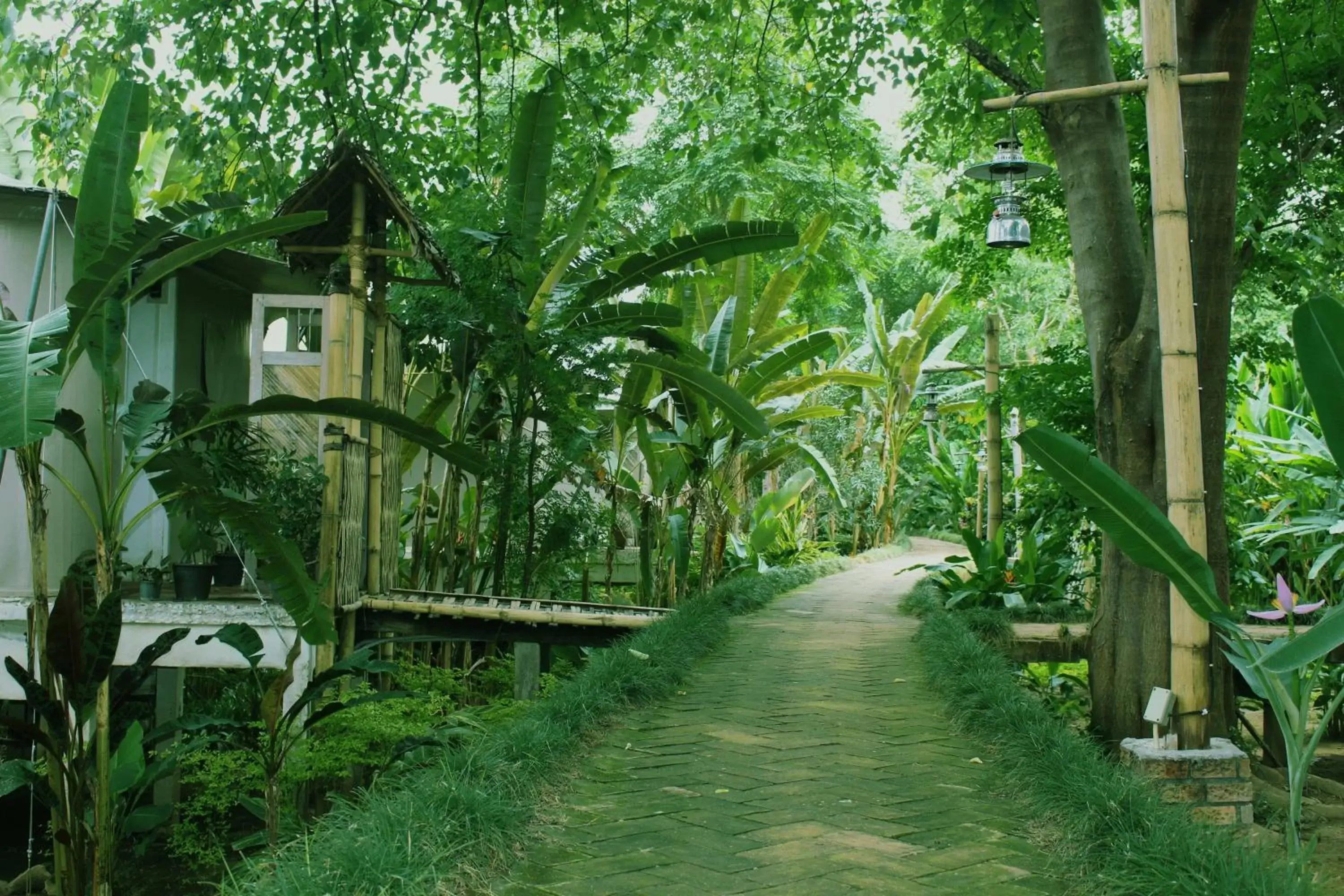 Garden view in Pai Vimaan Resort