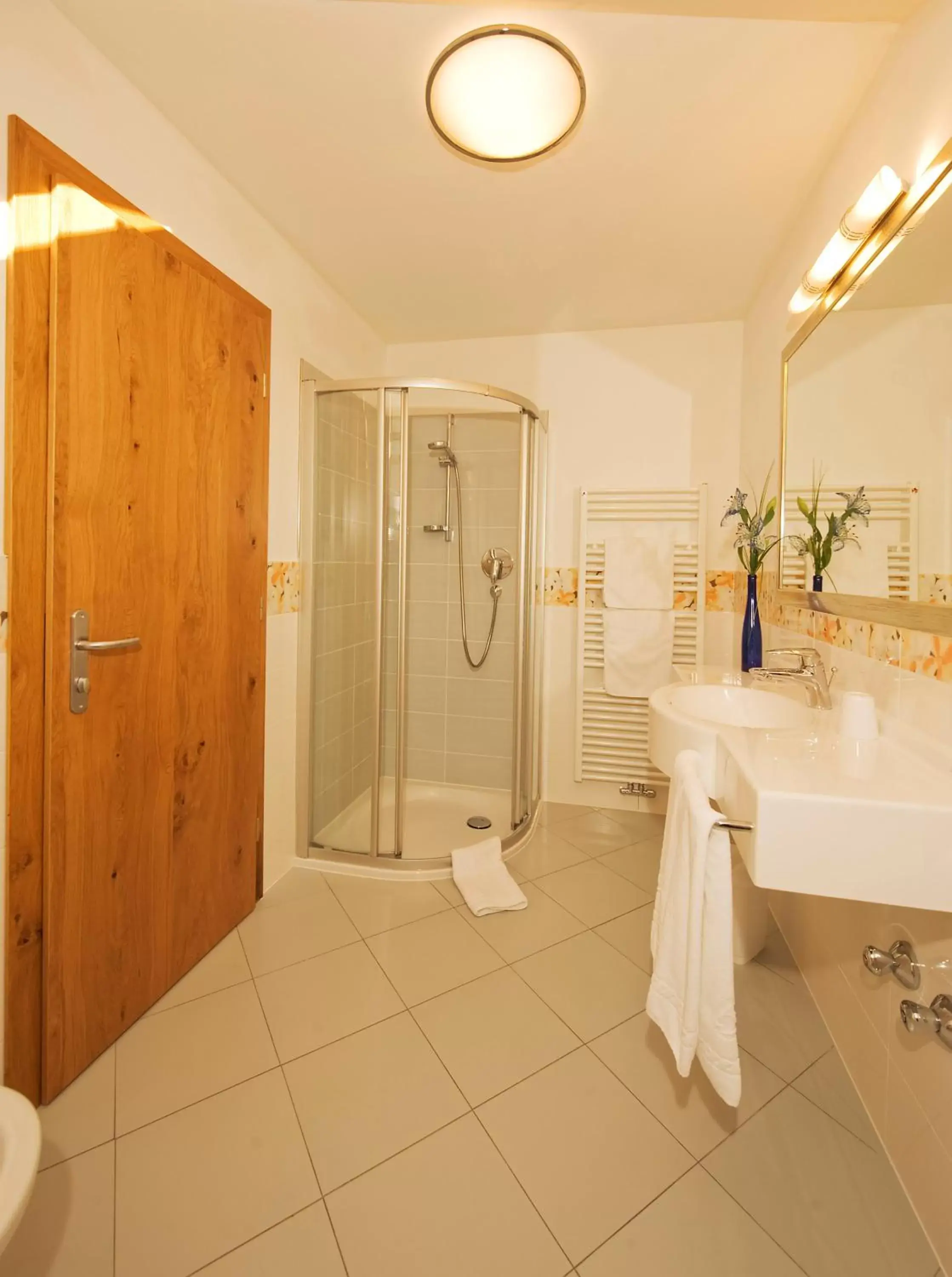 Shower, Bathroom in Hotel Am Sonneck